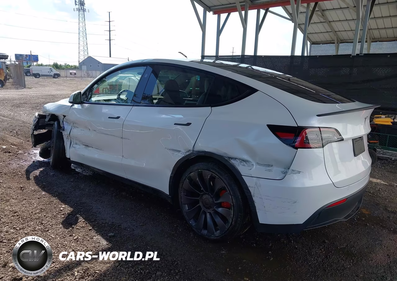 2025 Tesla Model Y Performance Dual Motor All-Wheel Drive VIN:7SAYGDEFXSA356138 - 3