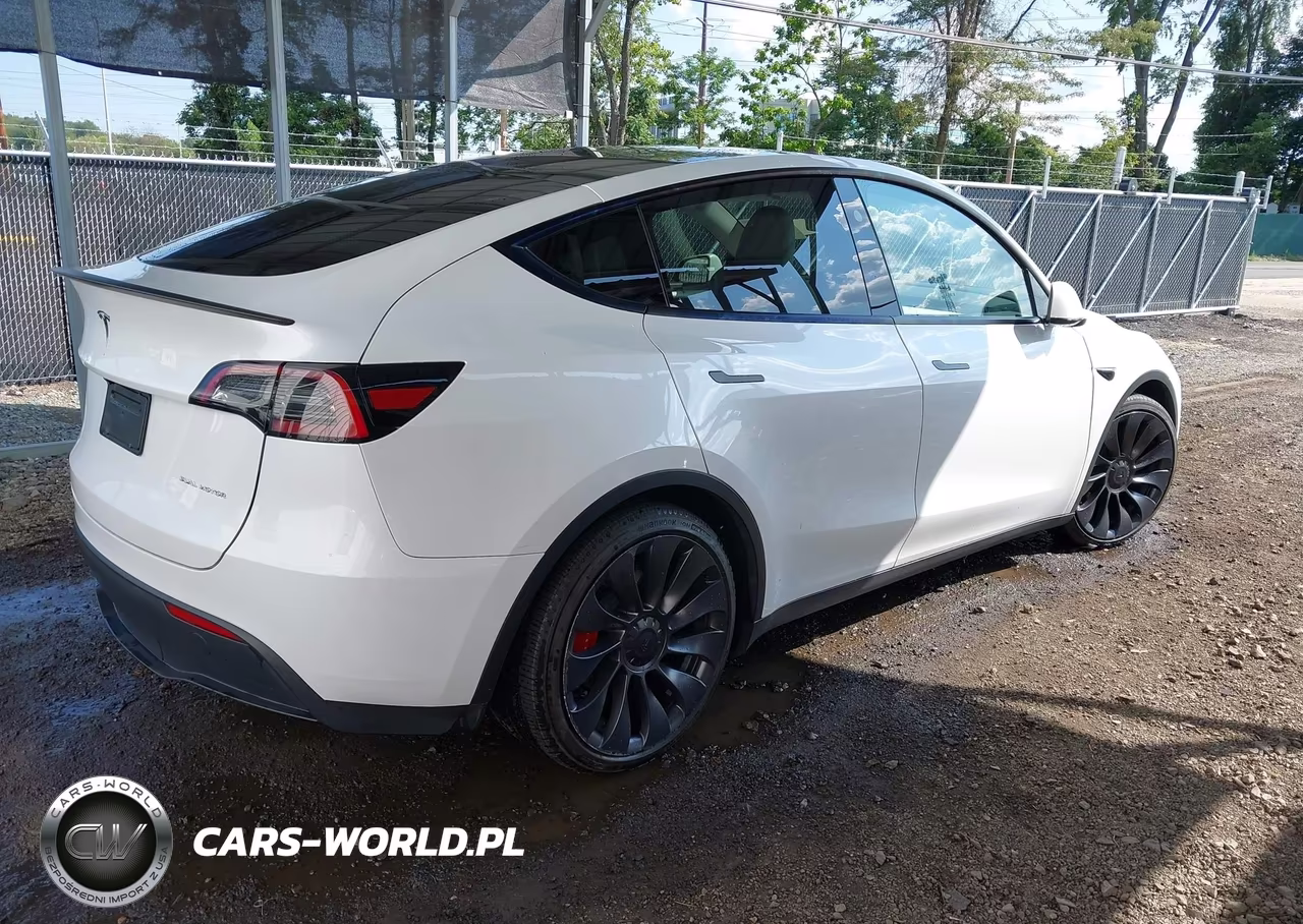 2025 Tesla Model Y Performance Dual Motor All-Wheel Drive VIN:7SAYGDEFXSA356138 - 4