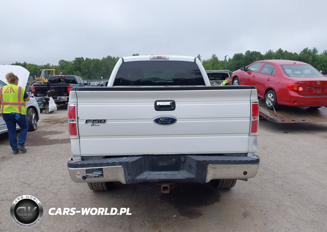 2009 Ford F-150 Stx-Xl-Xlt VIN:1FTRX14809FA47628 - 16