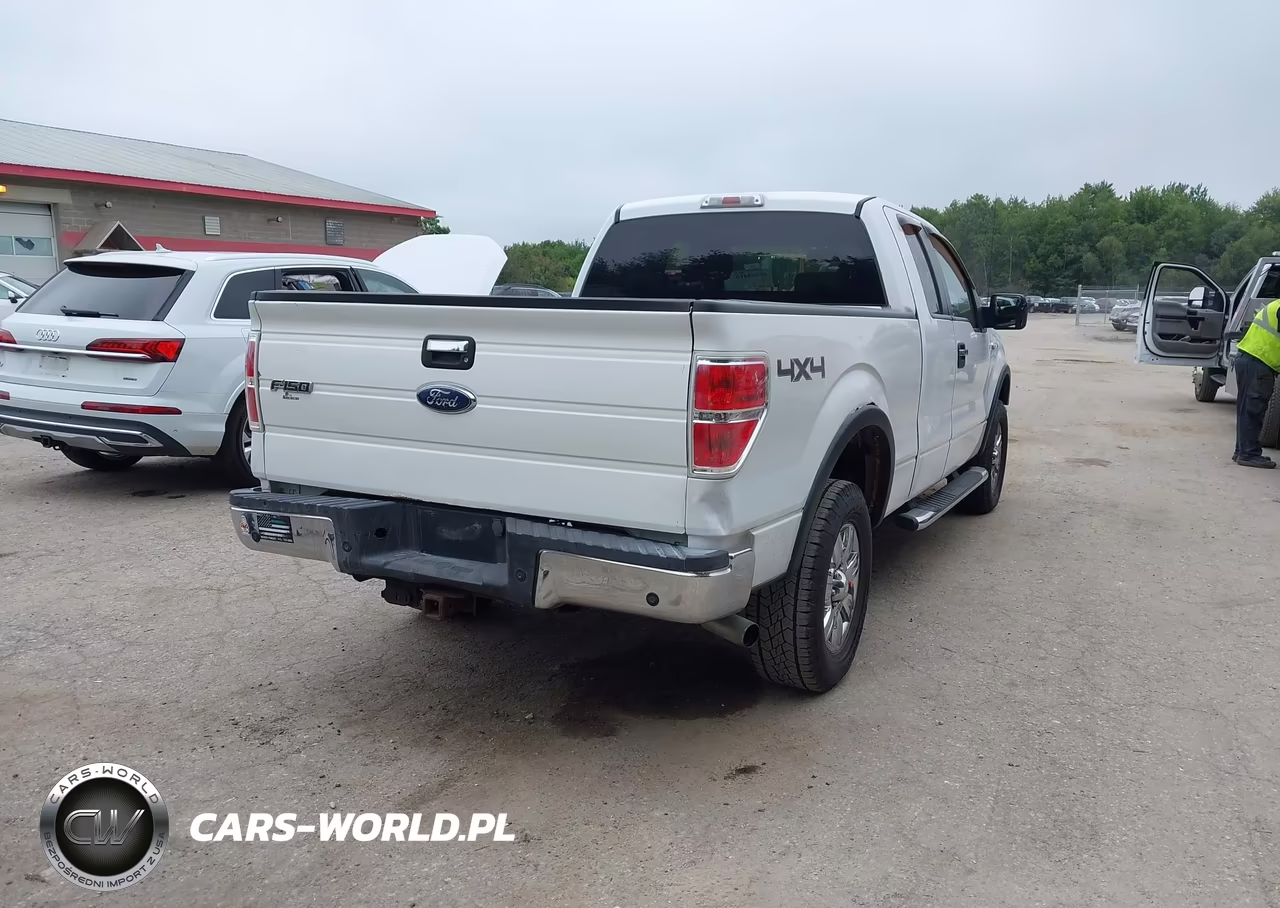 2009 Ford F-150 Stx-Xl-Xlt VIN:1FTRX14809FA47628 - 4