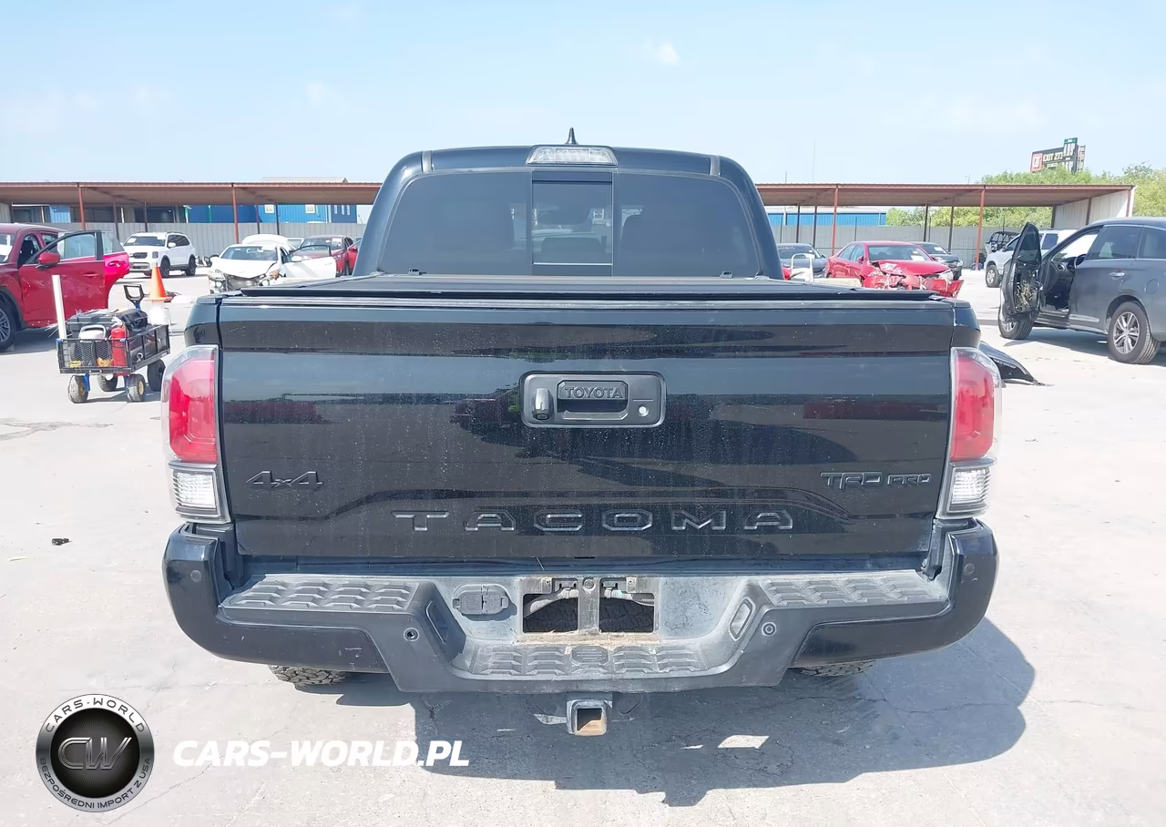 2019 Toyota Tacoma Trd Pro VIN:5TFCZ5AN3KX188338 - 17