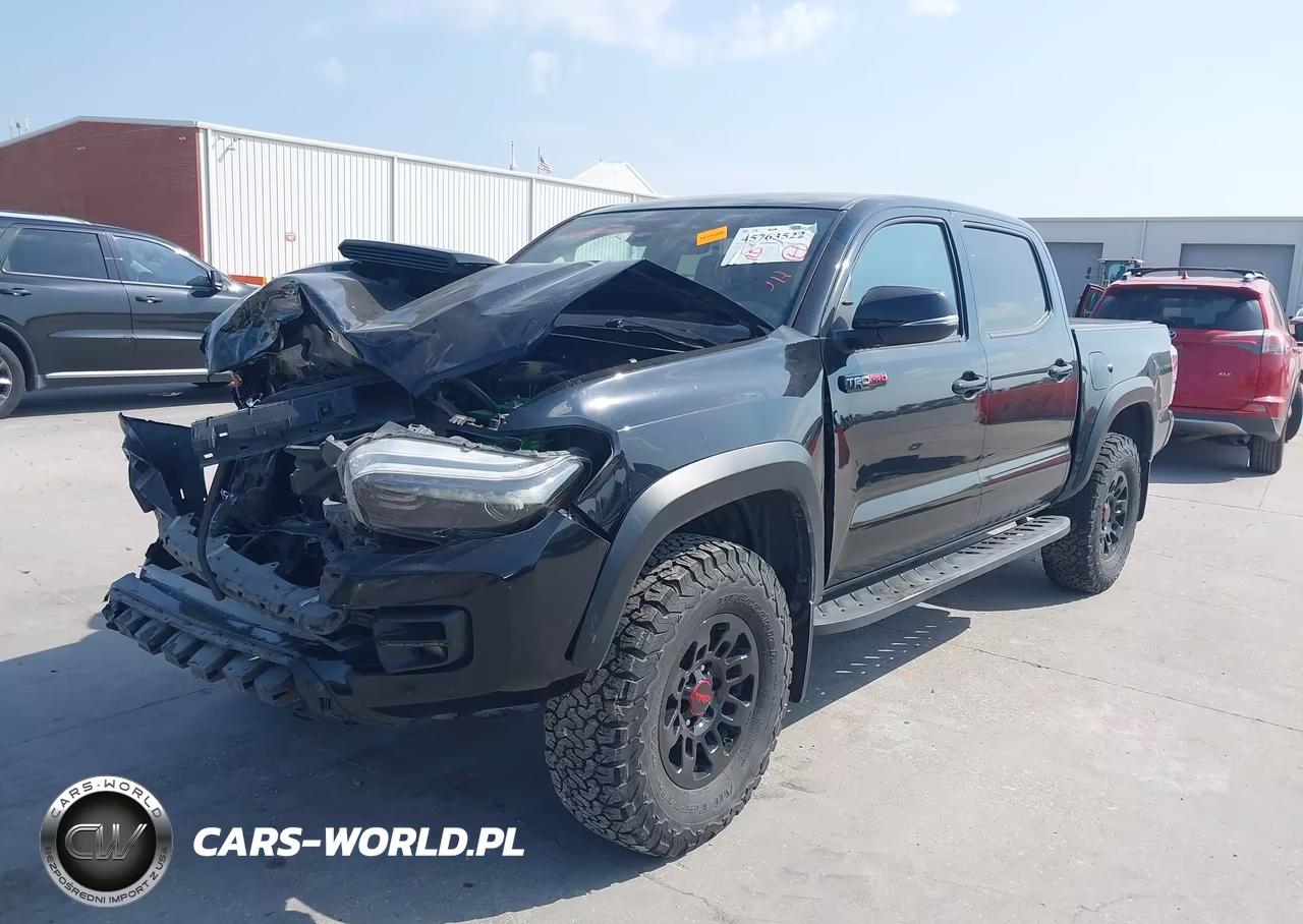 2019 Toyota Tacoma Trd Pro VIN:5TFCZ5AN3KX188338 - 2