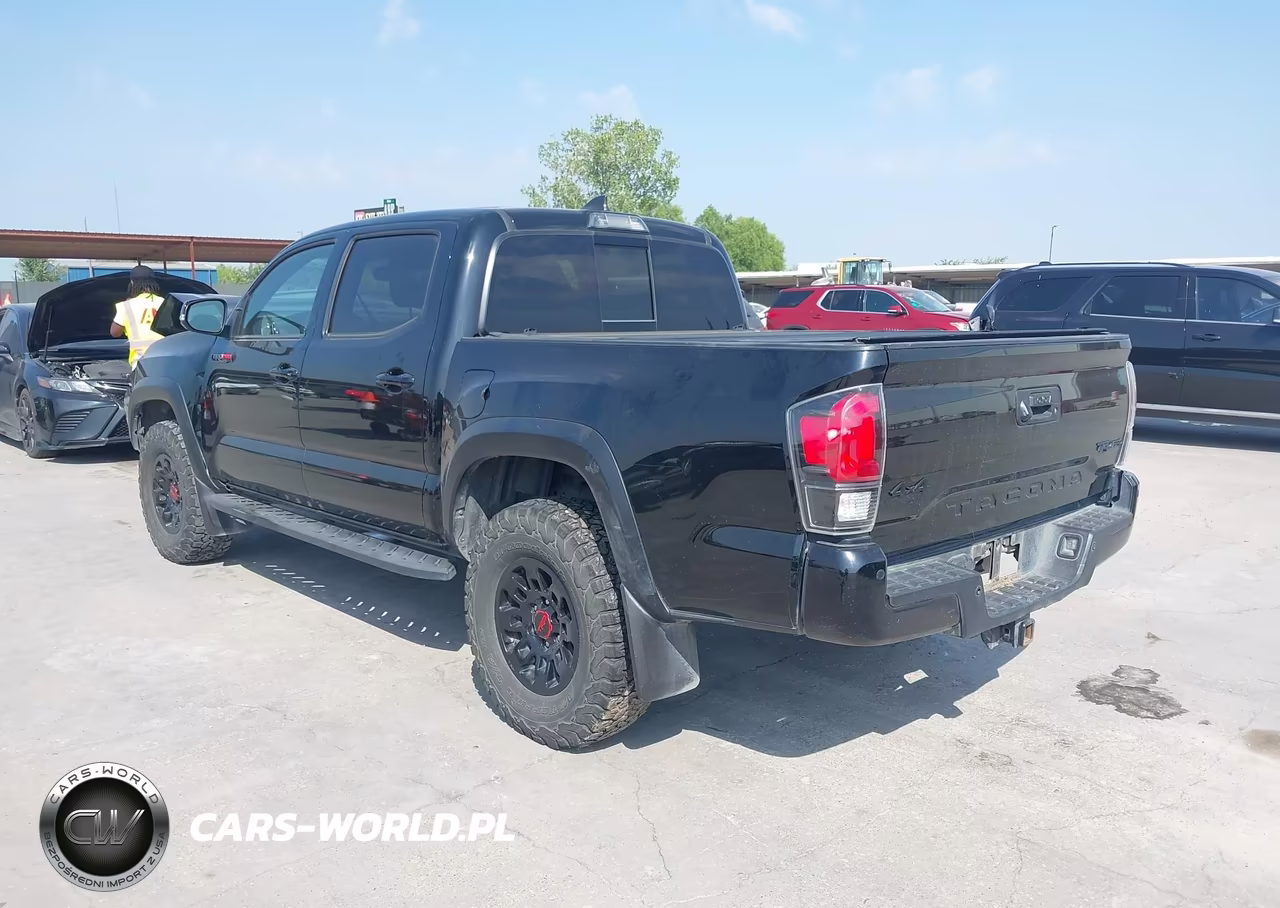 2019 Toyota Tacoma Trd Pro VIN:5TFCZ5AN3KX188338 - 3