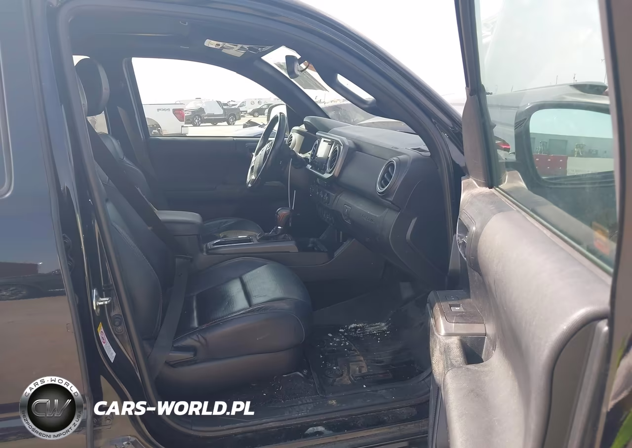 2019 Toyota Tacoma Trd Pro VIN:5TFCZ5AN3KX188338 - 5