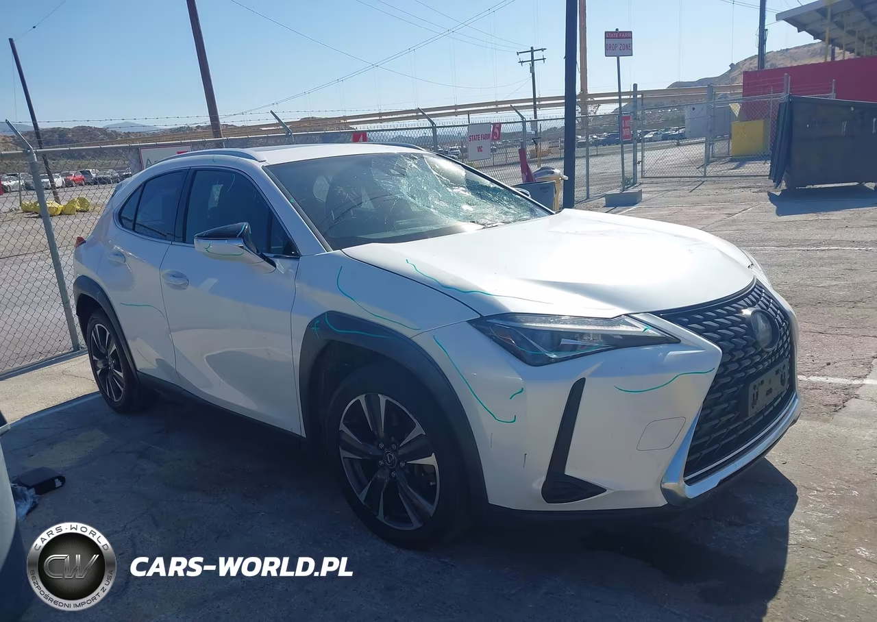 2019 Lexus Ux 200