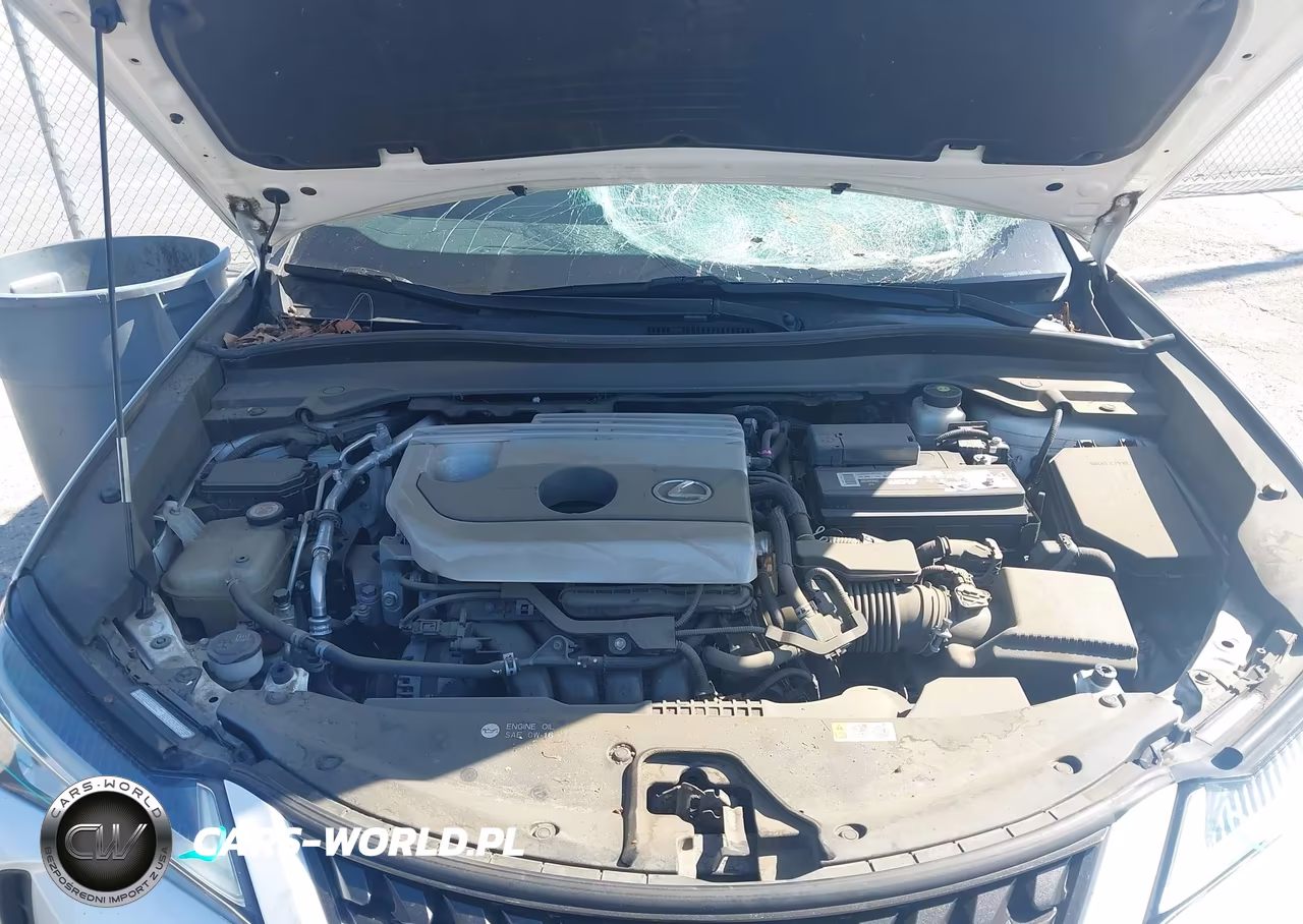 2019 Lexus Ux 200 VIN:JTHY3JBH1K2004468 - 10