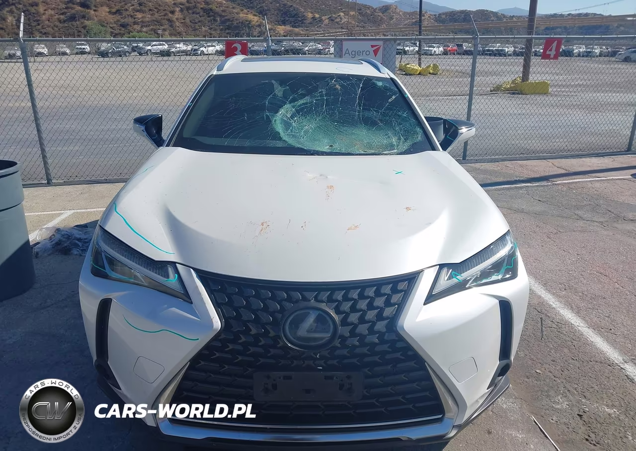 2019 Lexus Ux 200 VIN:JTHY3JBH1K2004468 - 12