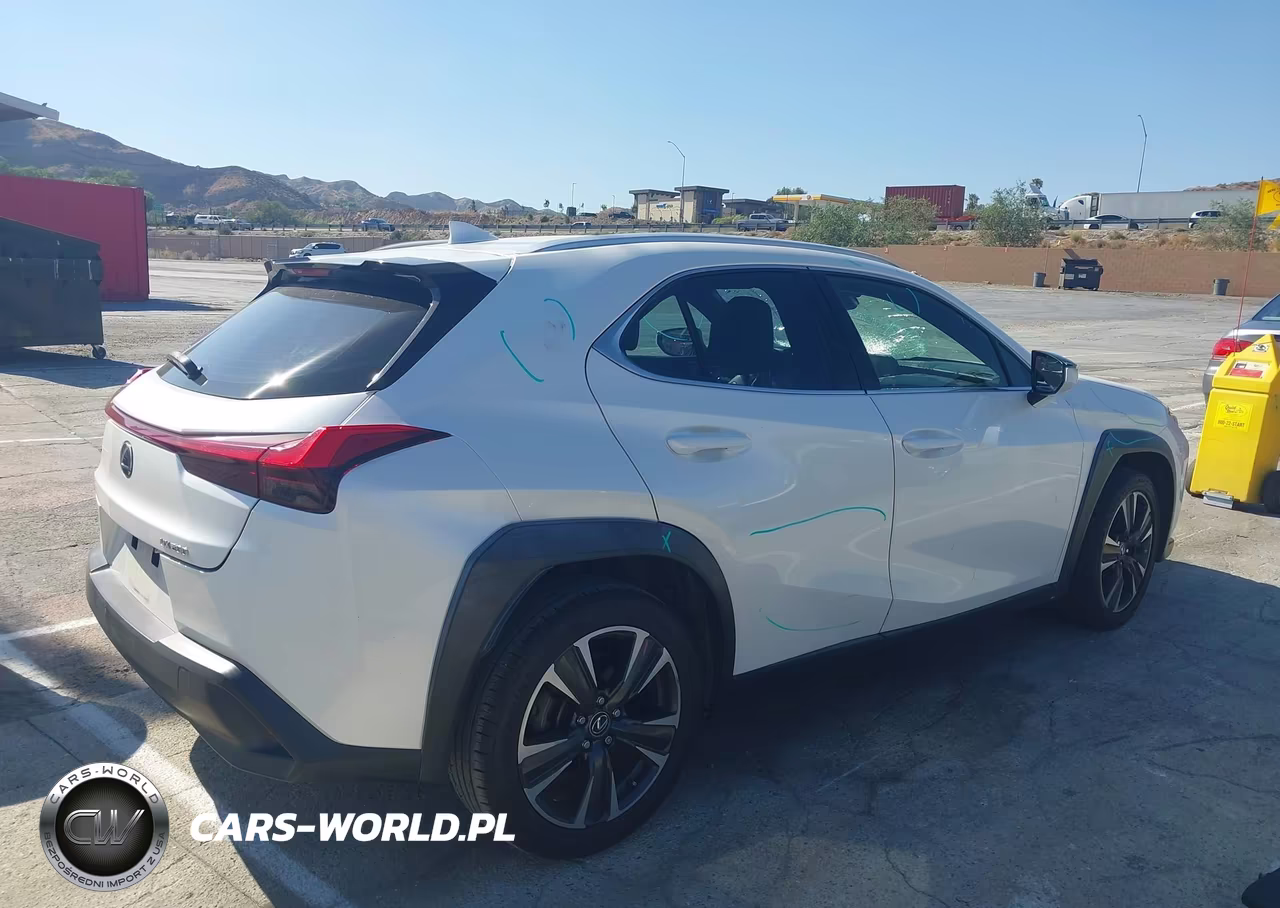 2019 Lexus Ux 200 VIN:JTHY3JBH1K2004468 - 13