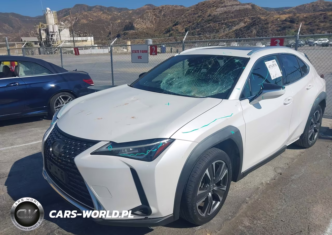 2019 Lexus Ux 200 VIN:JTHY3JBH1K2004468 - 2