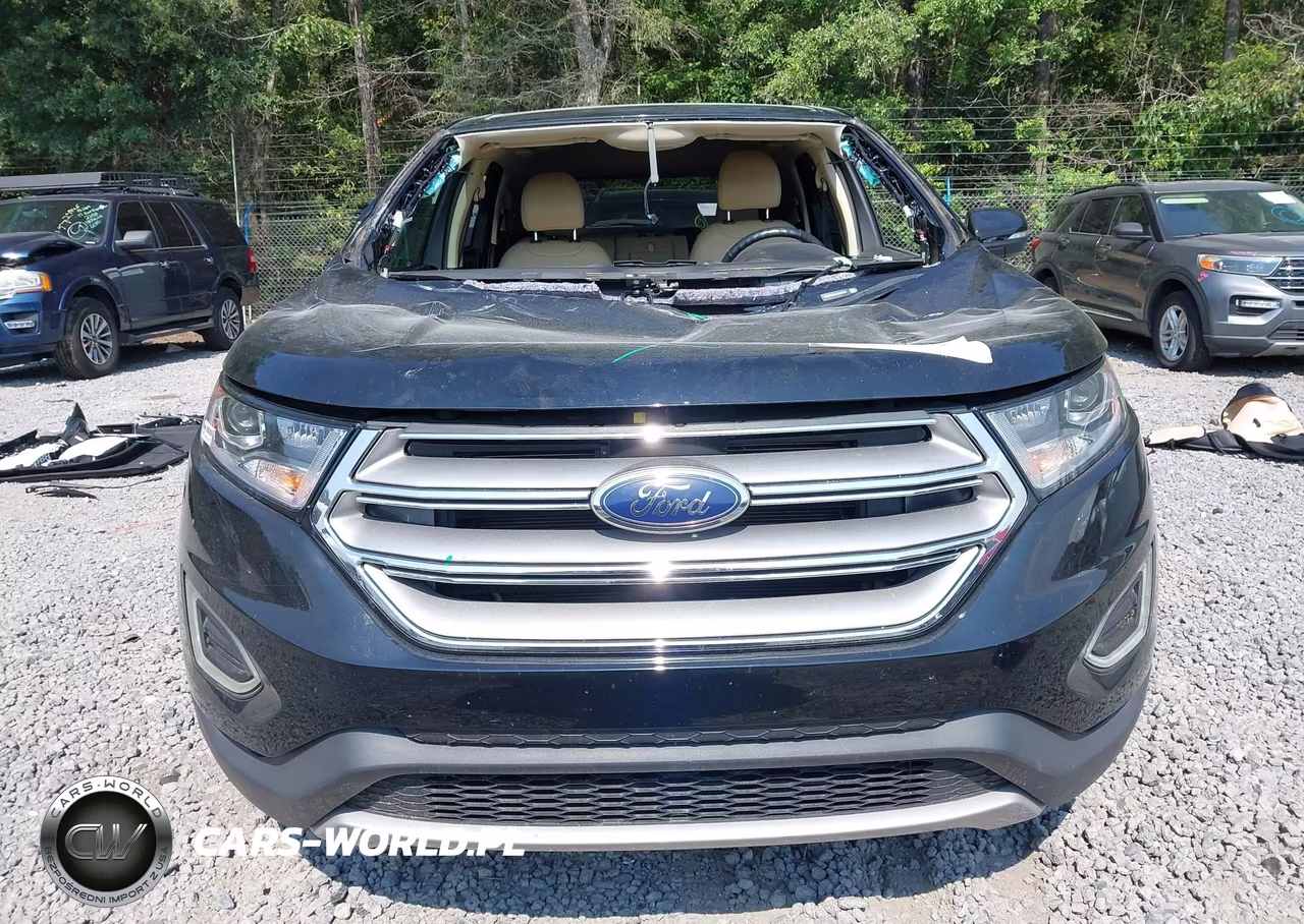 2018 Ford Edge Sel VIN:2FMPK3J91JBB47916 - 13