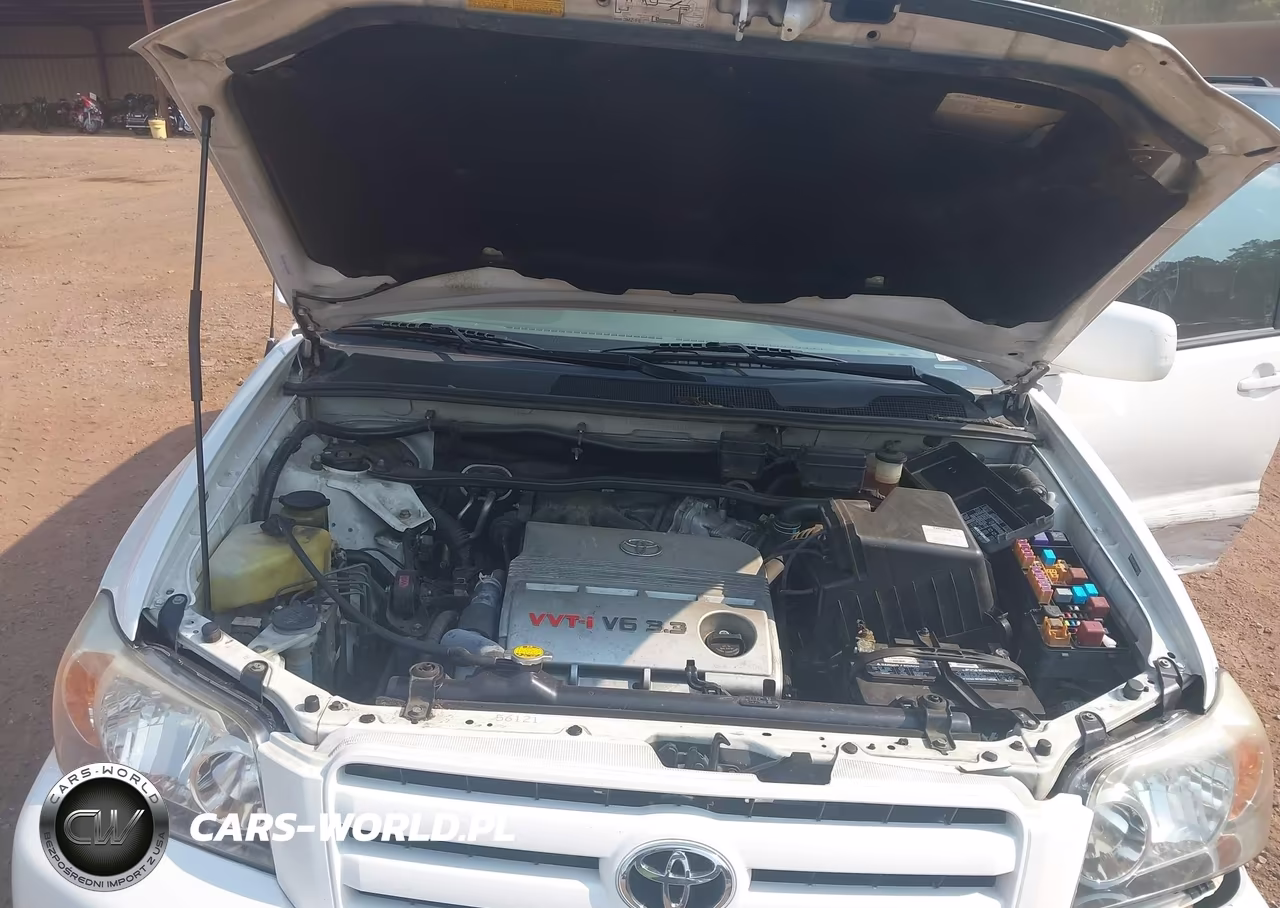 2004 Toyota Highlander V6 VIN:JTEGP21A140021843 - 10