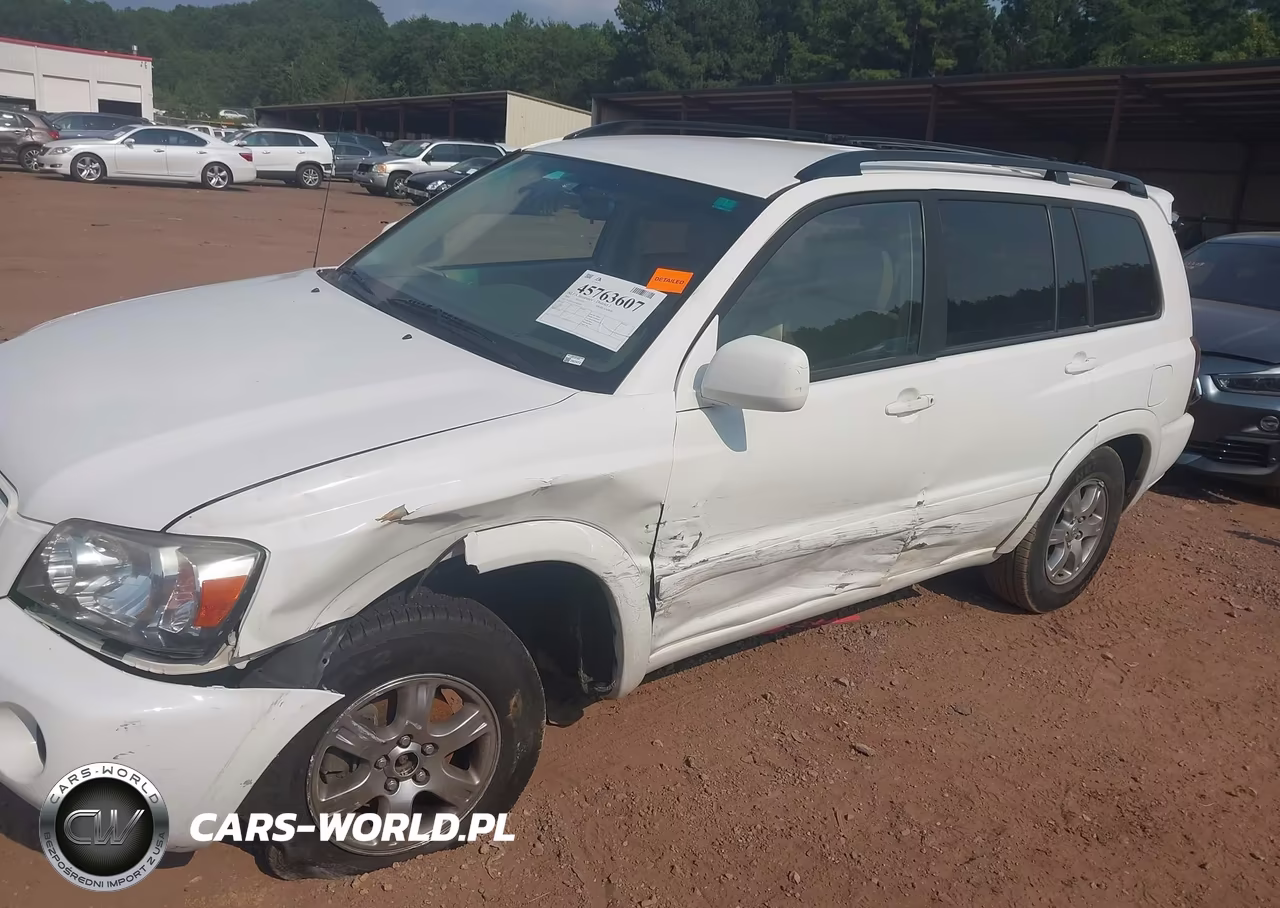 2004 Toyota Highlander V6 VIN:JTEGP21A140021843 - 6