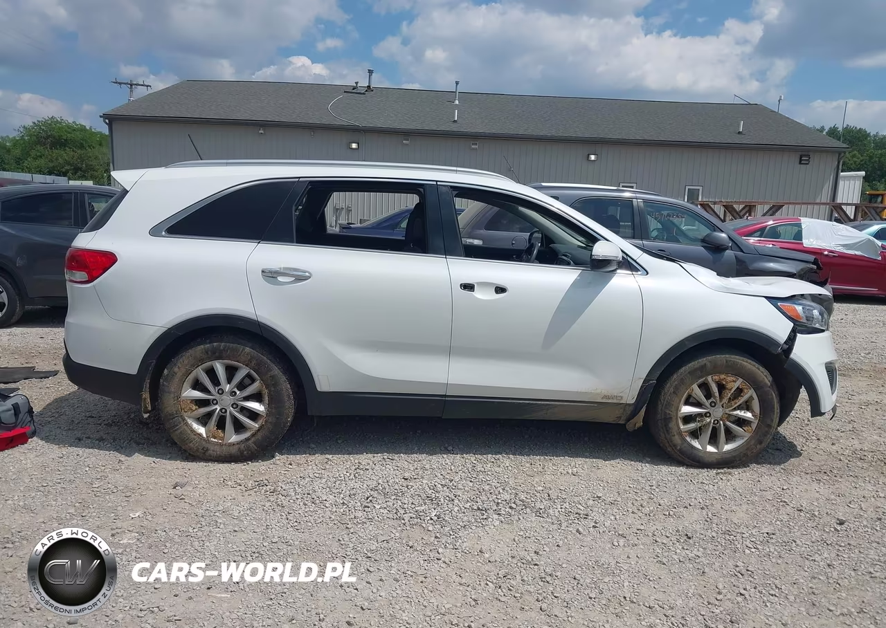 2016 Kia Sorento 2.4L Lx VIN:5XYPGDA37GG108789 - 14