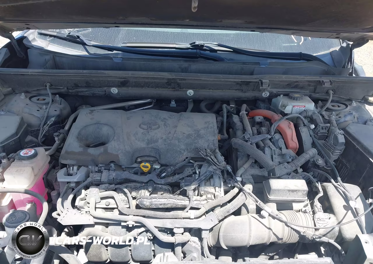 2019 Toyota Rav4 Hybrid Xse VIN:JTMEWRFV7KJ014972 - 10