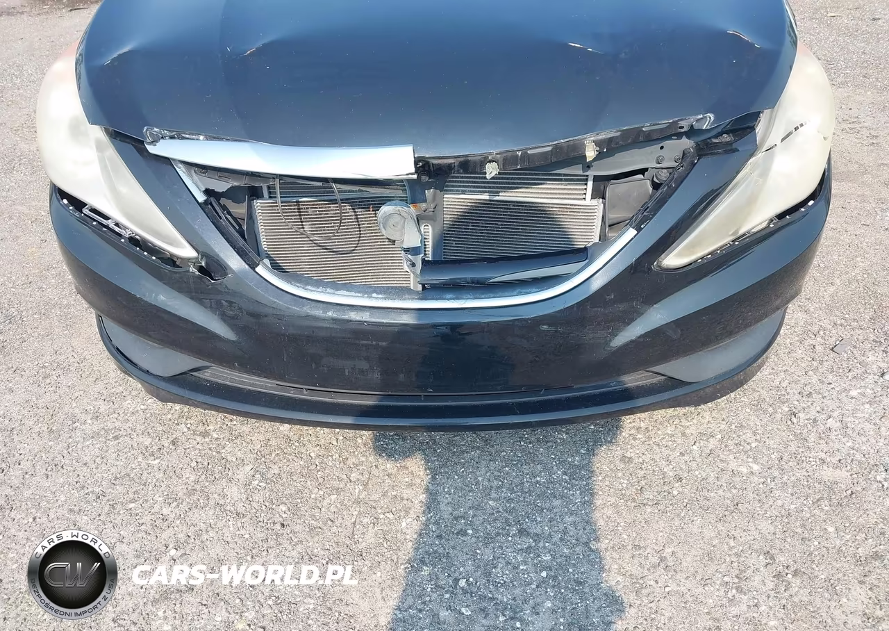 2014 Hyundai Sonata Gls VIN:5NPEB4AC6EH859314 - 12