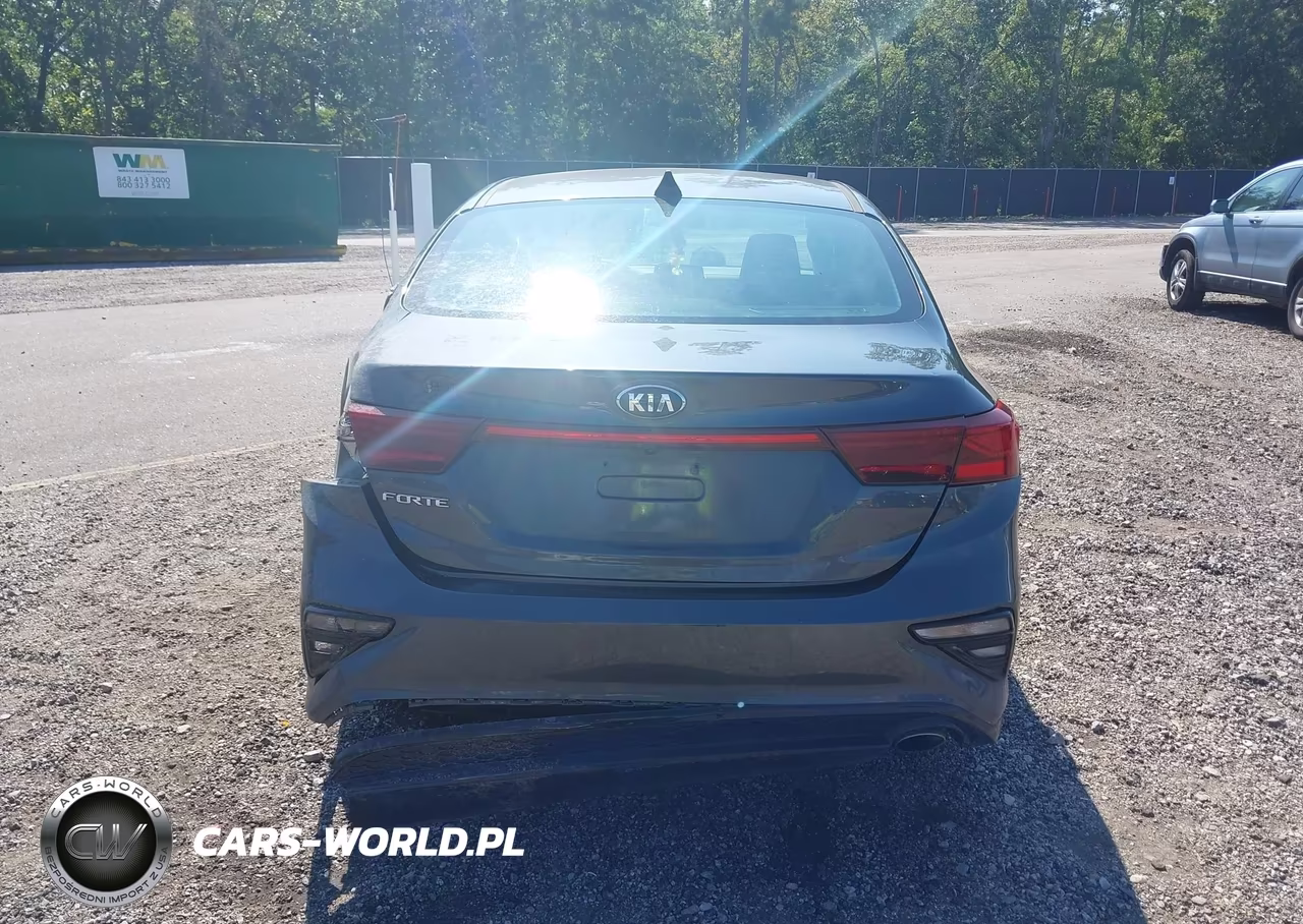 2019 Kia Forte Lxs VIN:3KPF24AD5KE078328 - 17