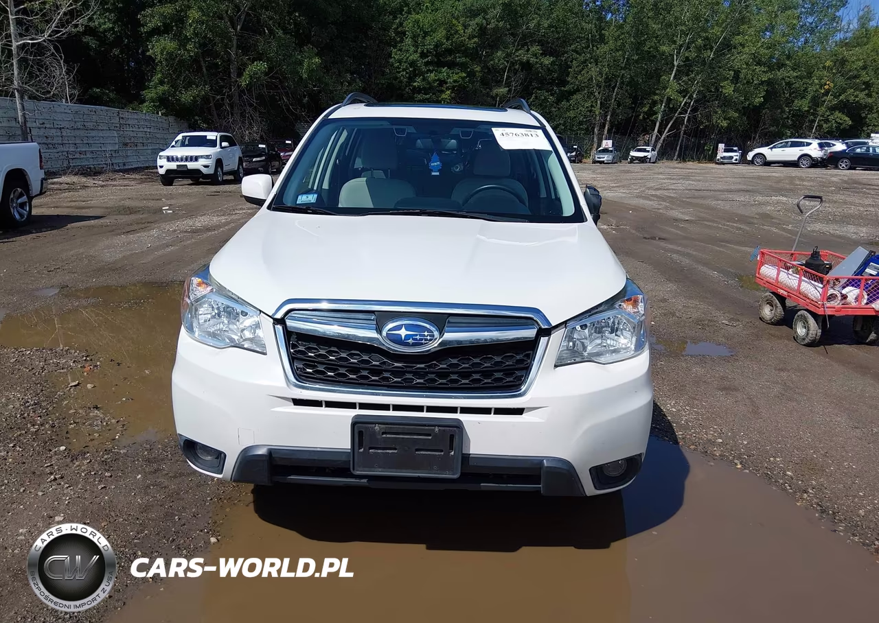 2016 Subaru Forester 2.5I Premium VIN:JF2SJAFC9GH436999 - 12