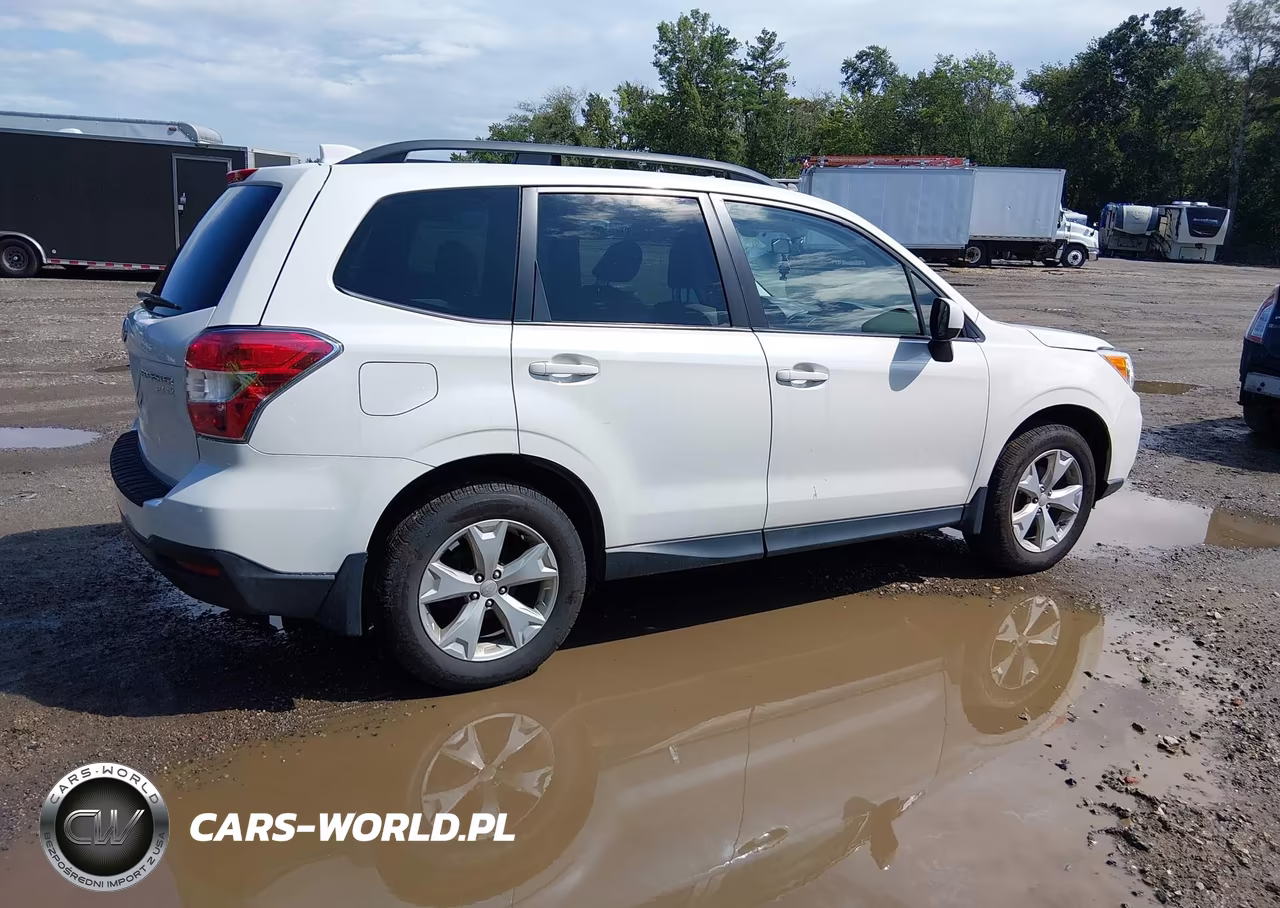 2016 Subaru Forester 2.5I Premium VIN:JF2SJAFC9GH436999 - 4