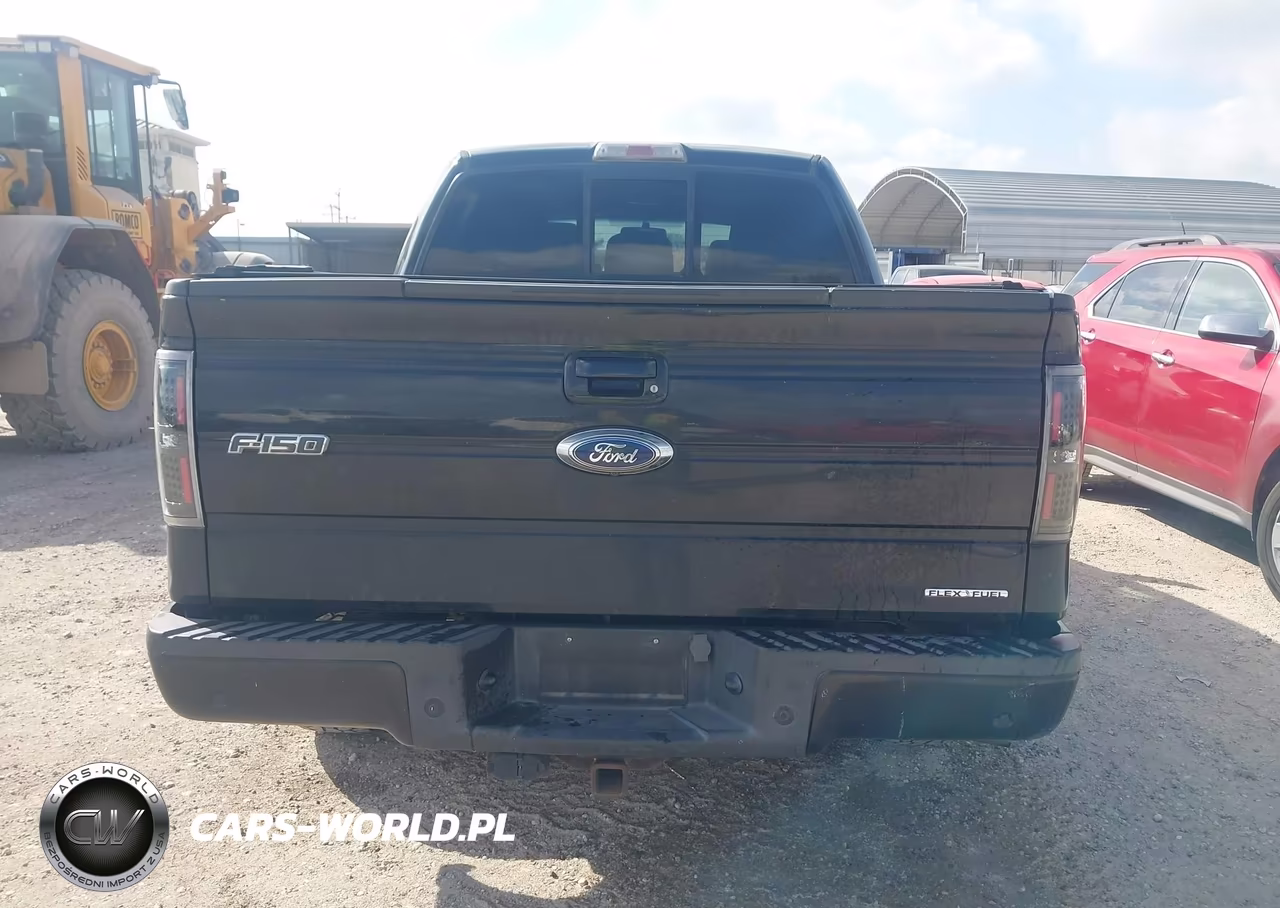 2012 Ford F-150 Fx2 VIN:1FTFW1CF0CFC55201 - 16