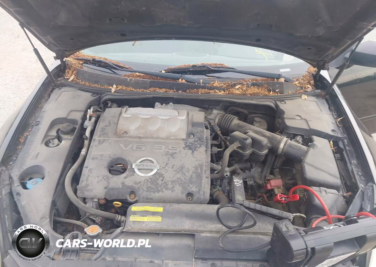 2008 Nissan Maxima 3.5 Se VIN:1N4BA41EX8C800635 - 10