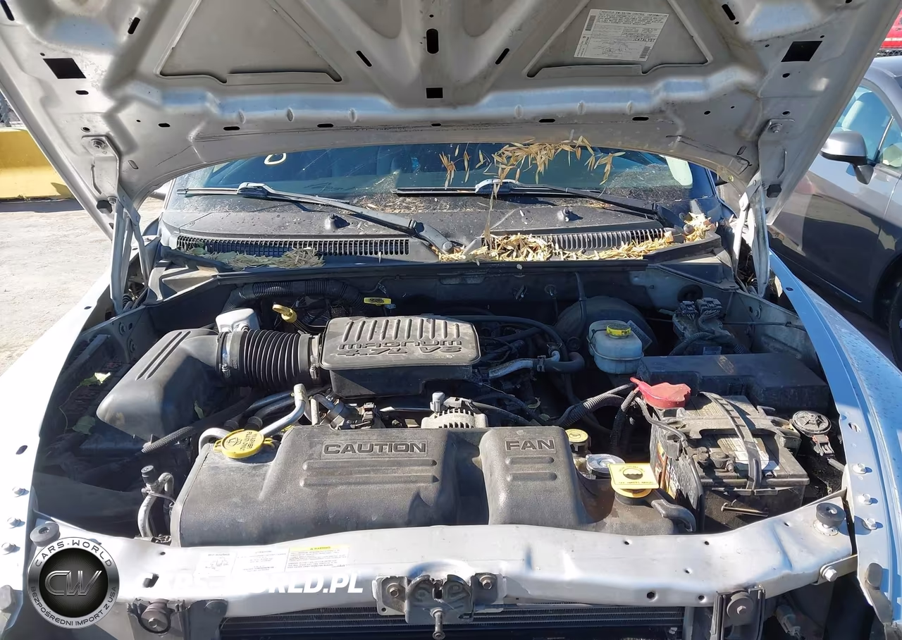 2004 Dodge Dakota Slt VIN:1D7HL48N34S542016 - 10