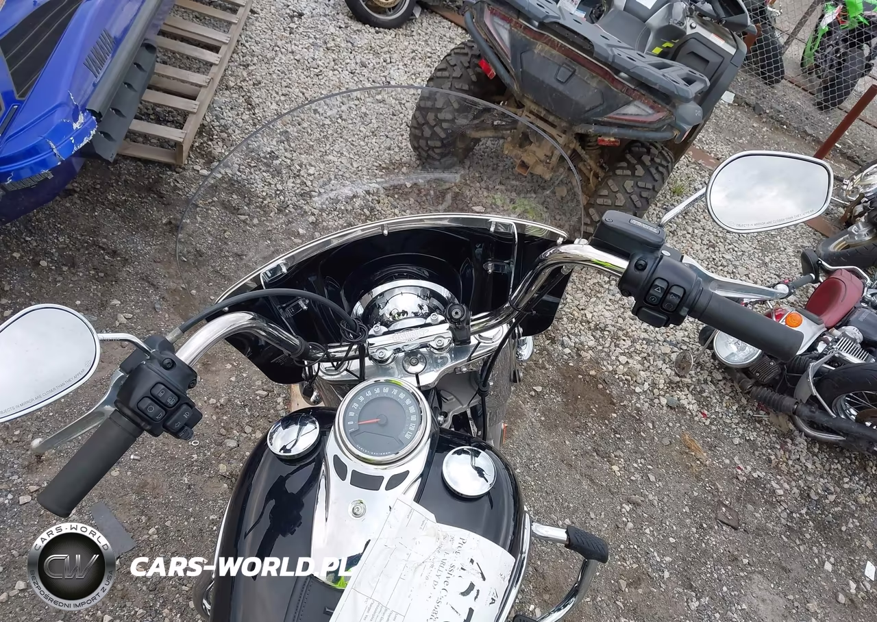 2020 Harley-Davidson Flhc VIN:1HD1YAJ19LB069447 - 14