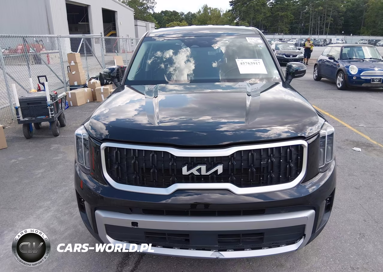 2023 Kia Telluride Lx VIN:5XYP24GCXPG346092 - 12
