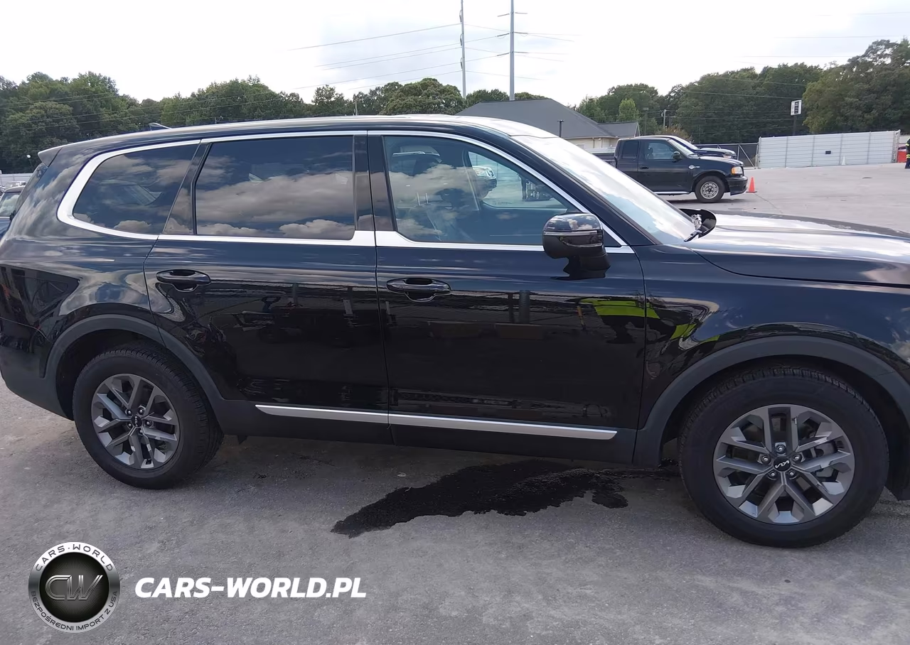 2023 Kia Telluride Lx VIN:5XYP24GCXPG346092 - 13