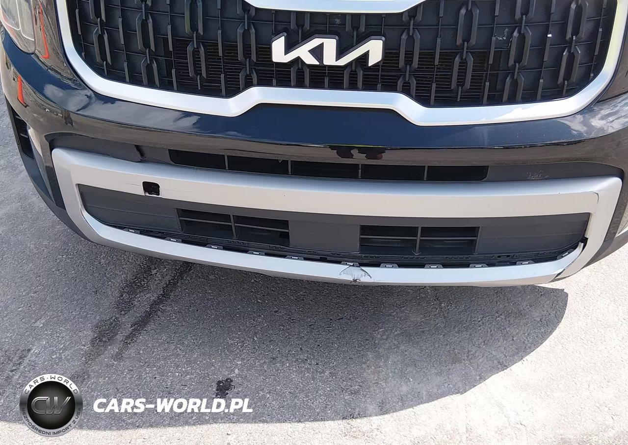 2023 Kia Telluride Lx VIN:5XYP24GCXPG346092 - 6
