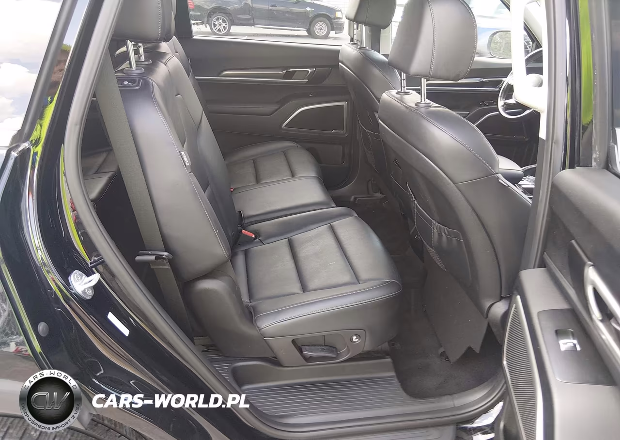 2023 Kia Telluride Lx VIN:5XYP24GCXPG346092 - 8