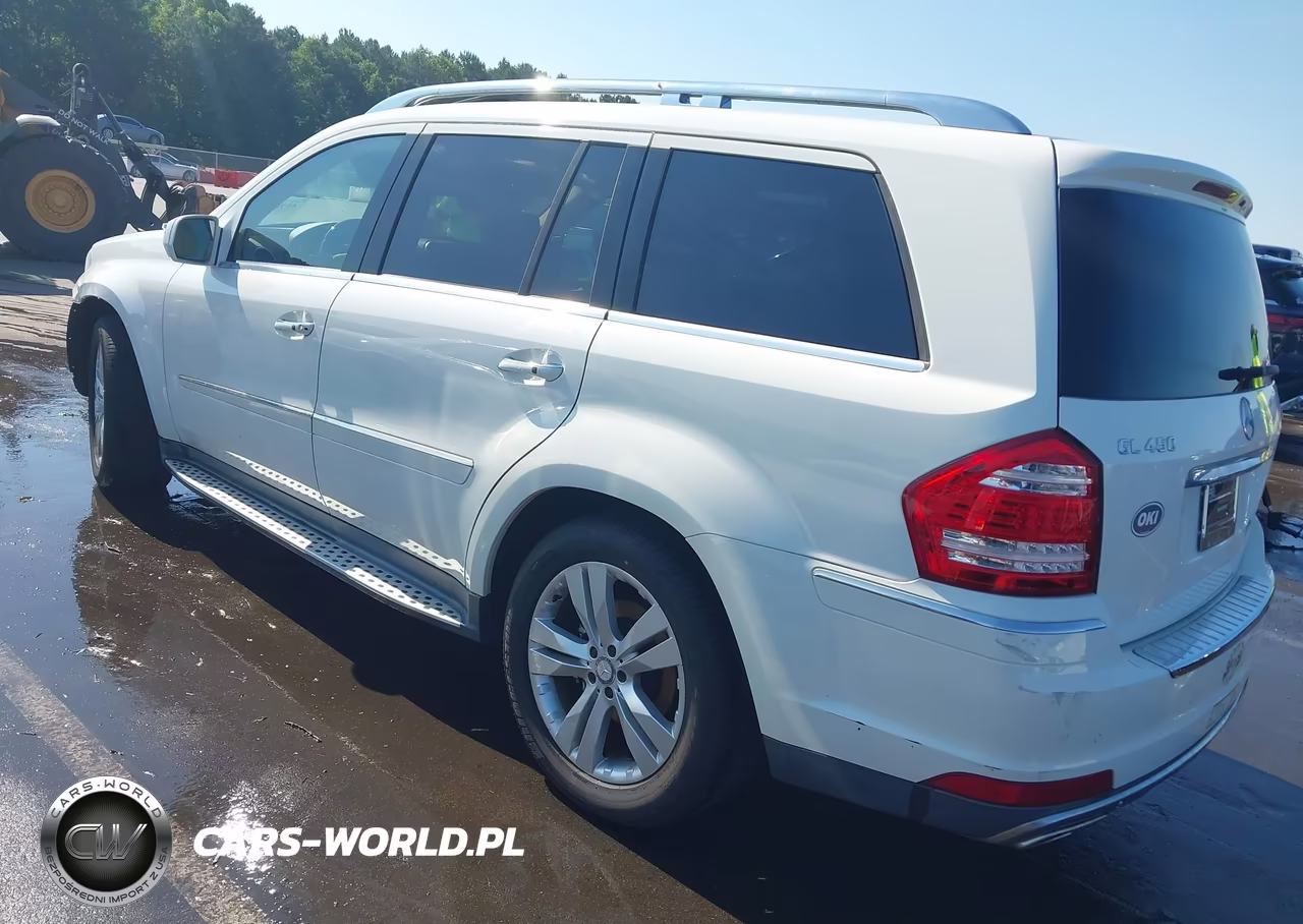 2010 Mercedes-Benz Gl 450 4Matic VIN:4JGBF7BB0AA532824 - 3