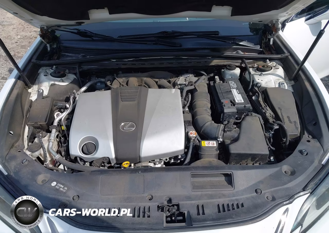 2019 Lexus Es 350 F Sport VIN:58ABZ1B13KU007261 - 10