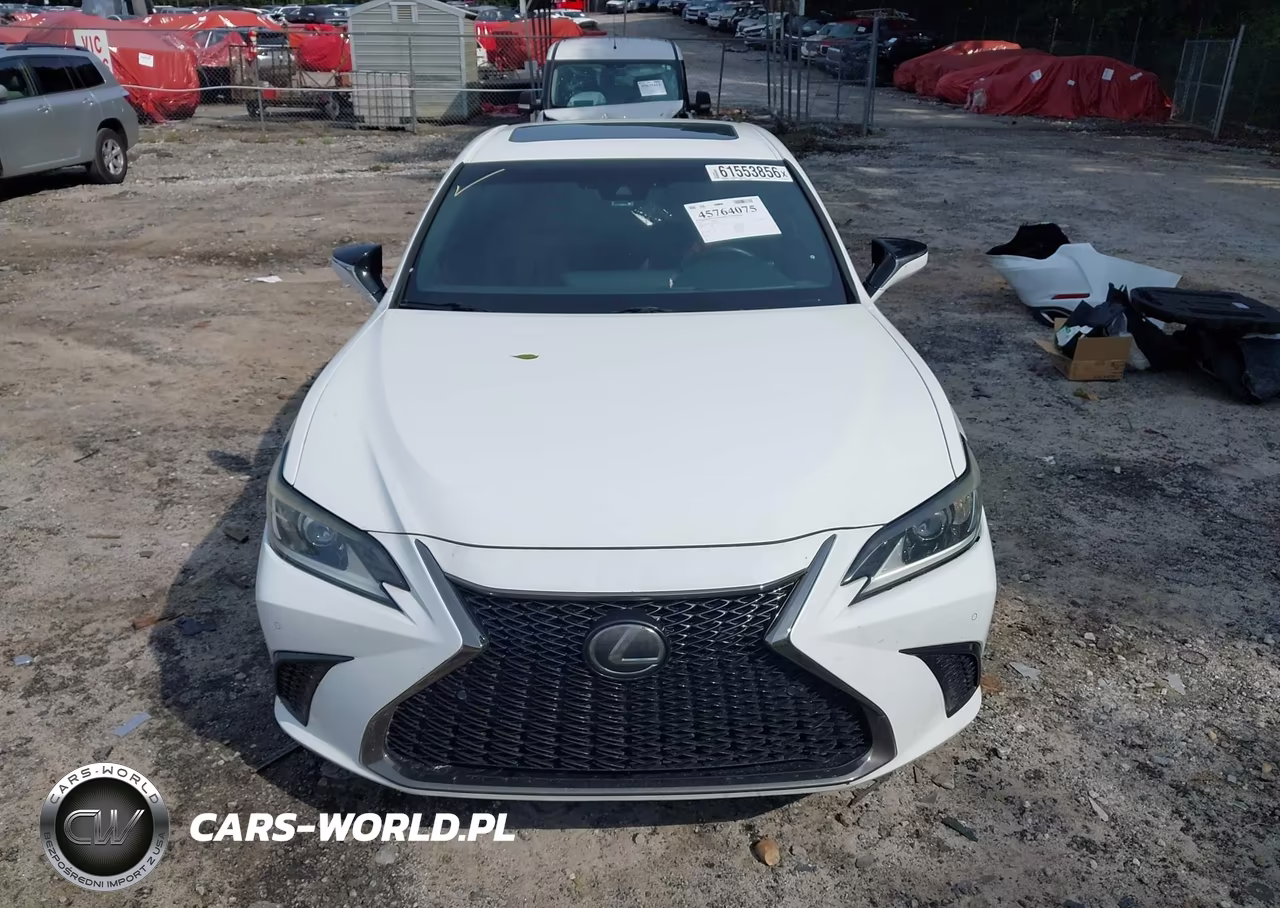 2019 Lexus Es 350 F Sport VIN:58ABZ1B13KU007261 - 13