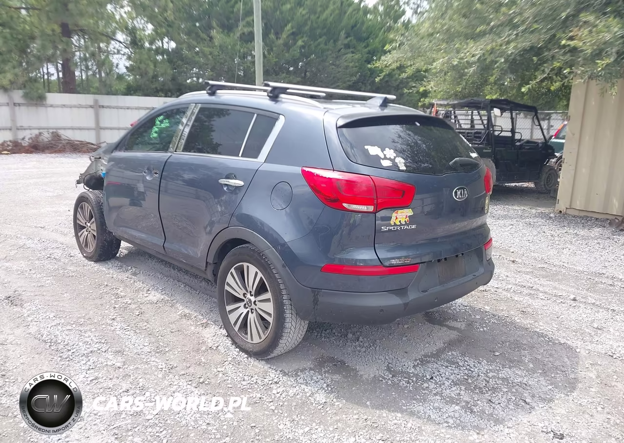 2016 Kia Sportage Ex VIN:KNDPC3AC0G7813405 - 3