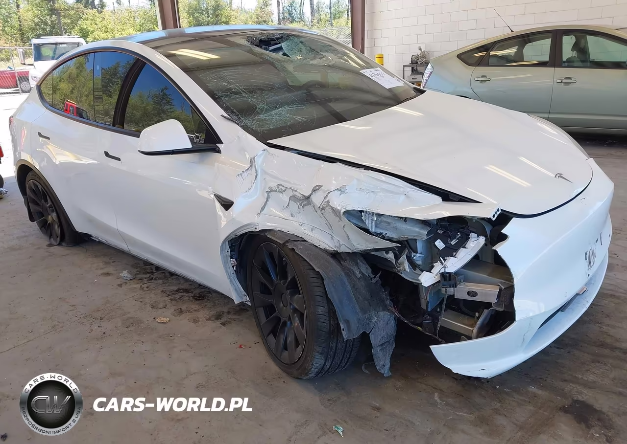 2020 Tesla Model Y Long Range Dual Motor All-Wheel Drive
