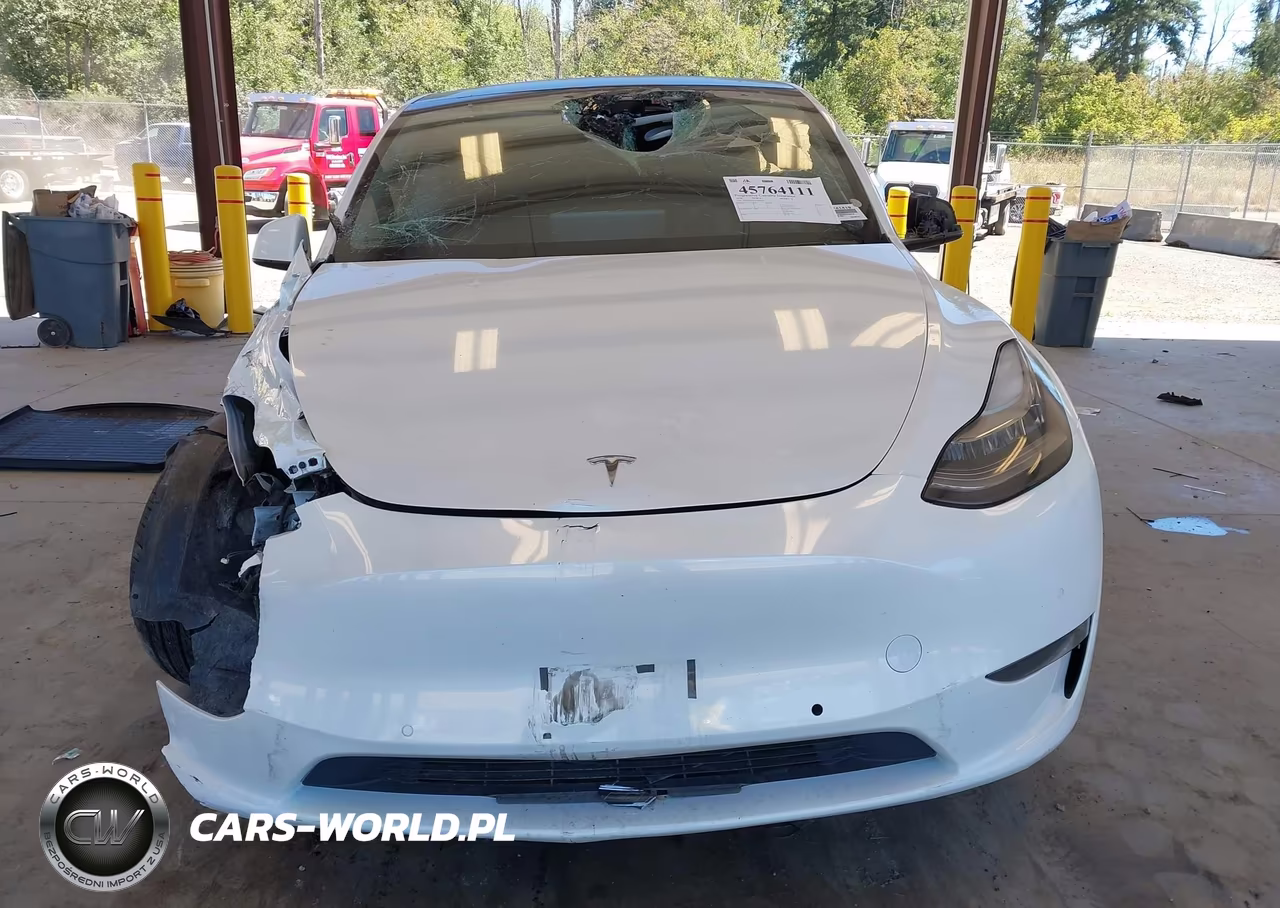 2020 Tesla Model Y Long Range Dual Motor All-Wheel Drive VIN:5YJYGDEE3LF058197 - 12