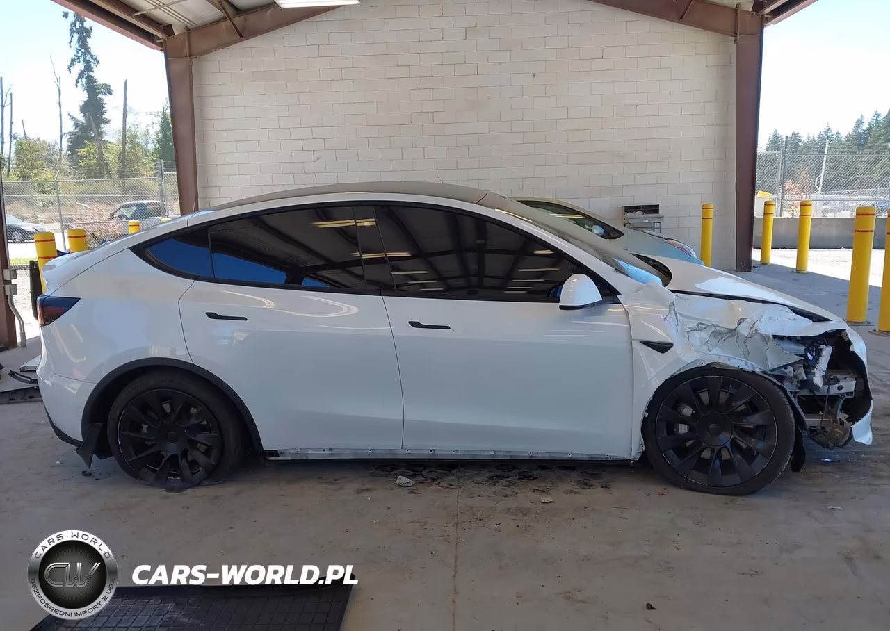 2020 Tesla Model Y Long Range Dual Motor All-Wheel Drive VIN:5YJYGDEE3LF058197 - 13