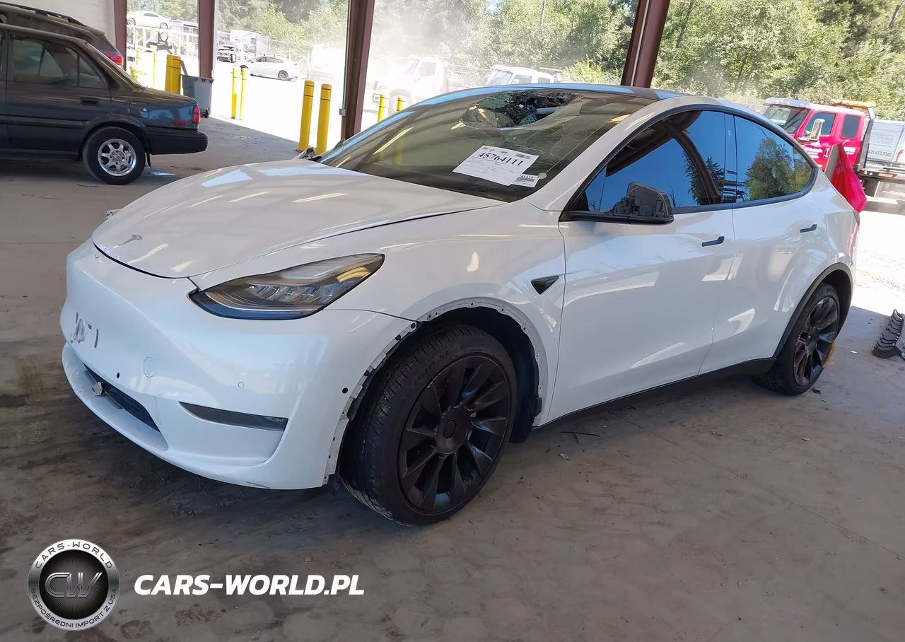 2020 Tesla Model Y Long Range Dual Motor All-Wheel Drive VIN:5YJYGDEE3LF058197 - 2