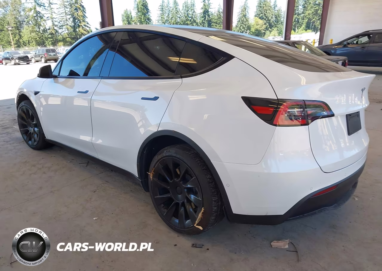 2020 Tesla Model Y Long Range Dual Motor All-Wheel Drive VIN:5YJYGDEE3LF058197 - 3