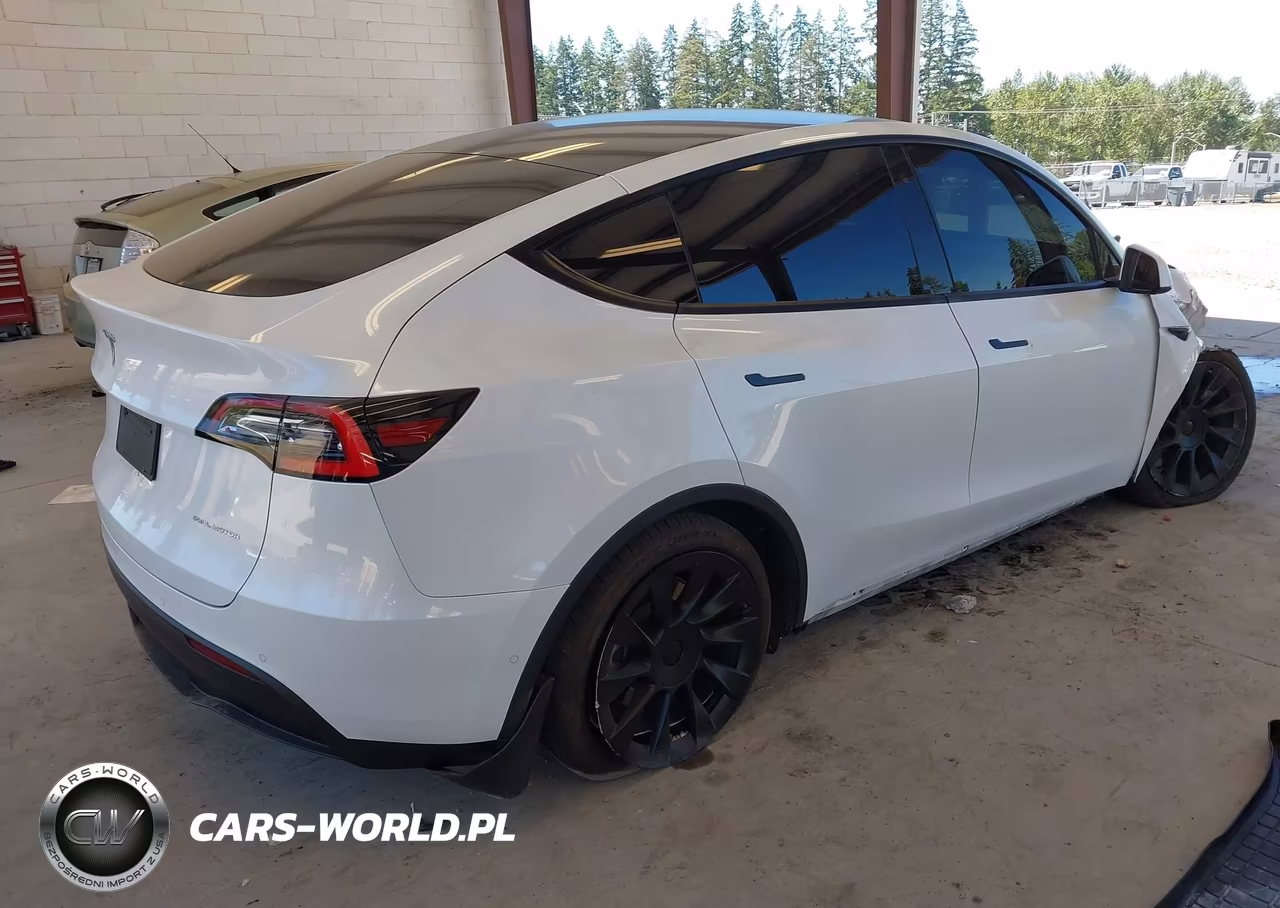 2020 Tesla Model Y Long Range Dual Motor All-Wheel Drive VIN:5YJYGDEE3LF058197 - 4