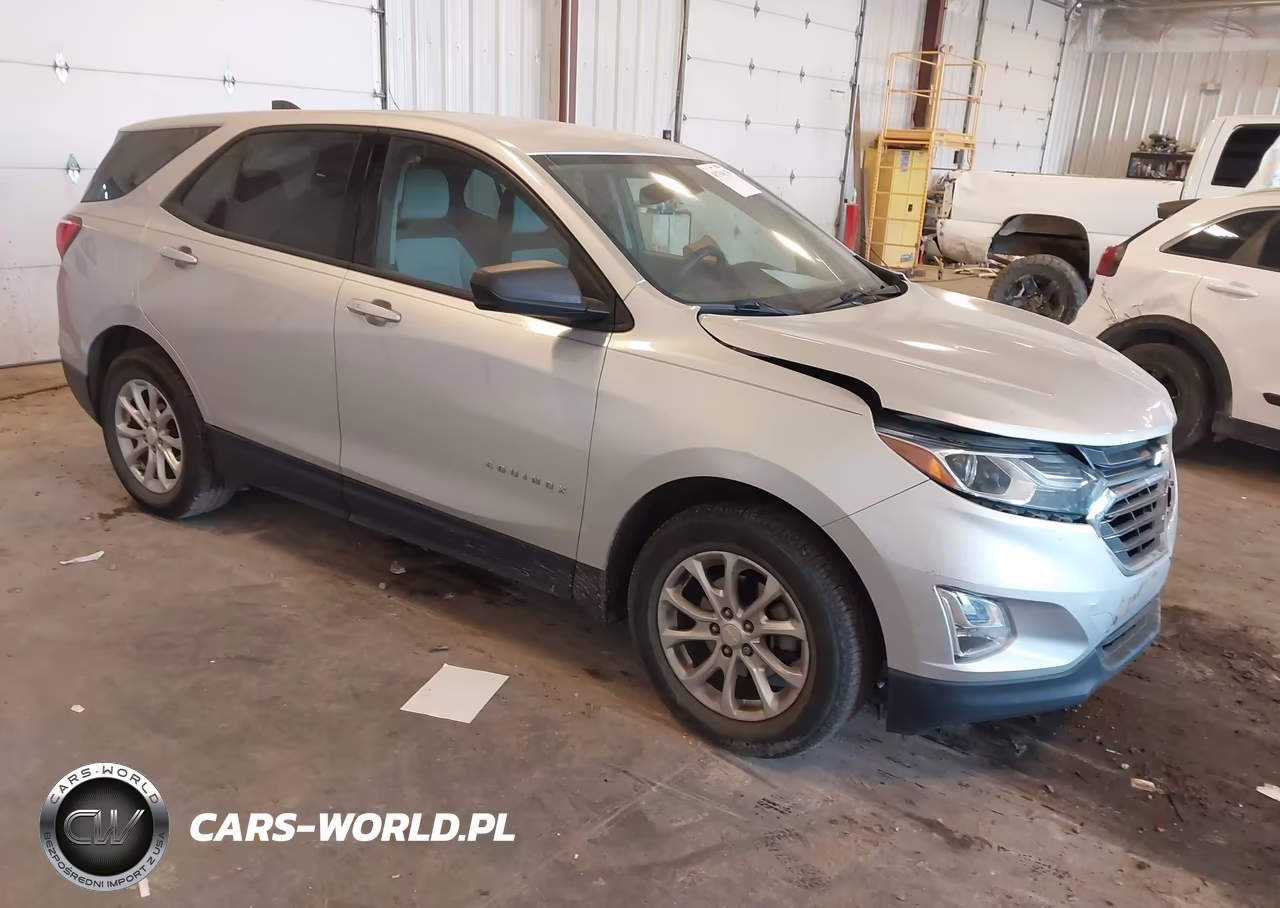 2019 Chevrolet Equinox Ls – zdjęcie 1 z 16