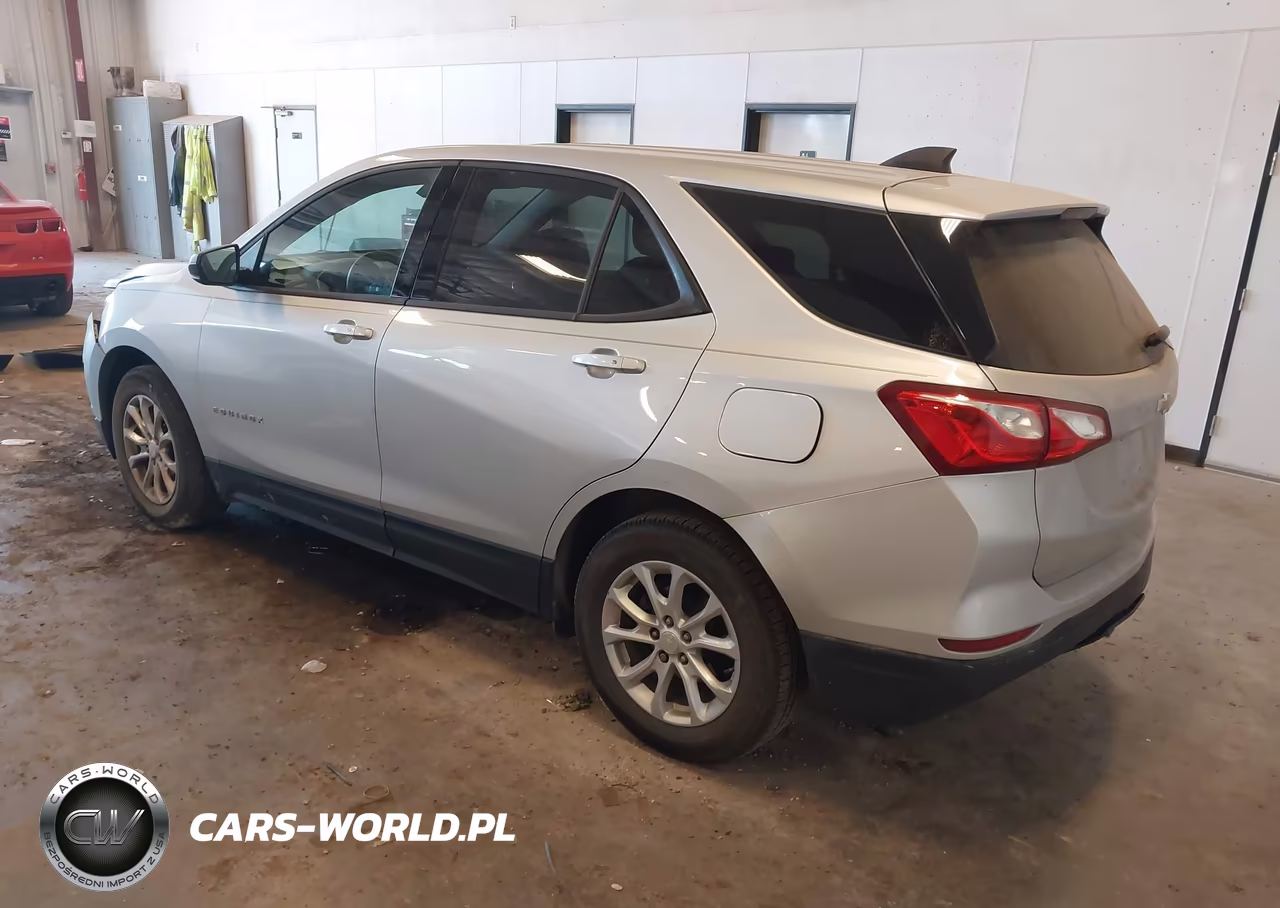2019 Chevrolet Equinox Ls VIN:3GNAXHEV9KS625681 - 3