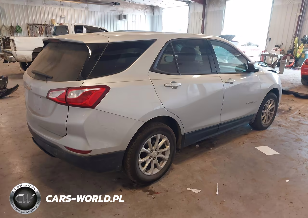 2019 Chevrolet Equinox Ls VIN:3GNAXHEV9KS625681 - 4