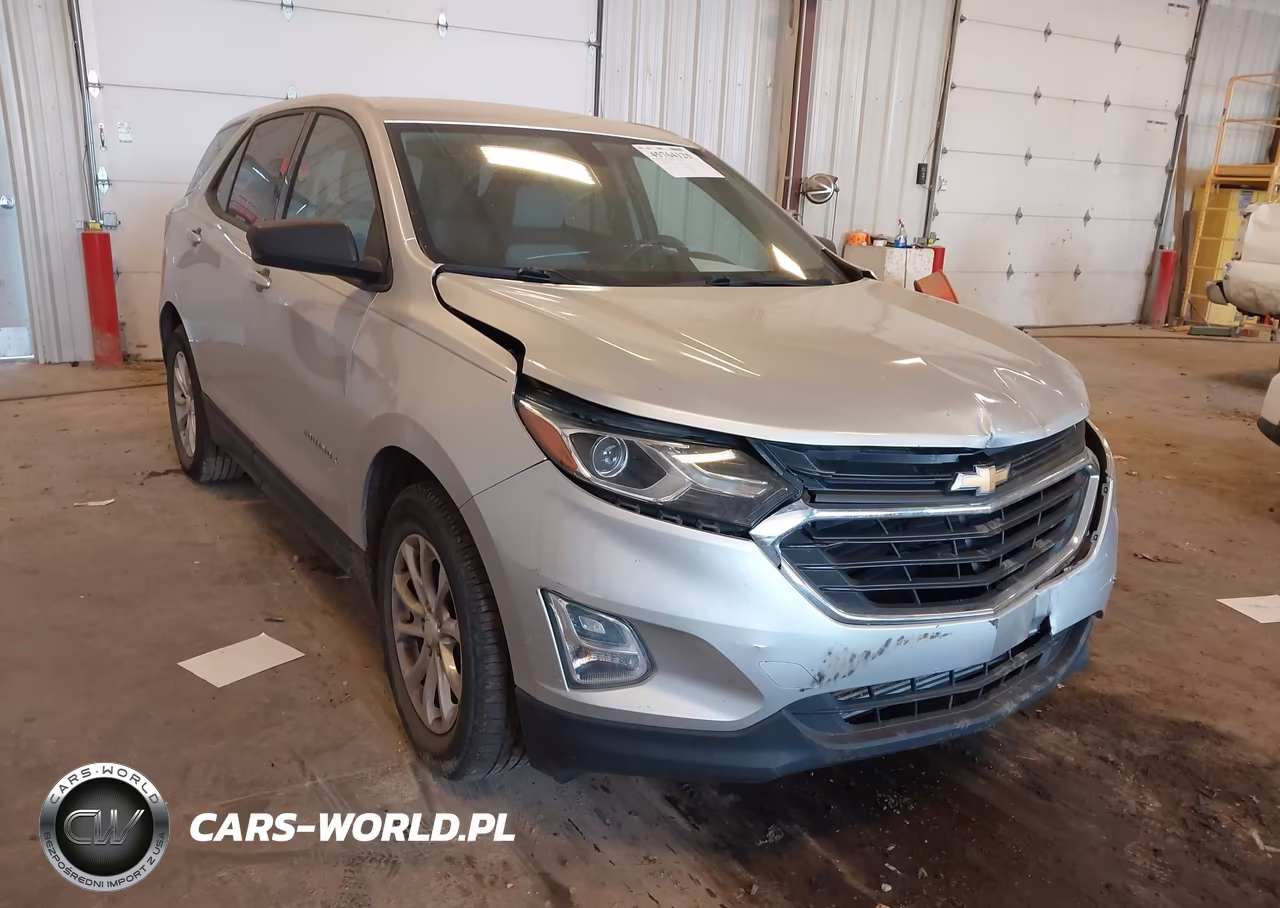 2019 Chevrolet Equinox Ls VIN:3GNAXHEV9KS625681 - 6