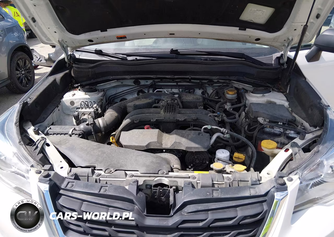 2018 Subaru Forester 2.5I VIN:JF2SJAAC1JG424706 - 10