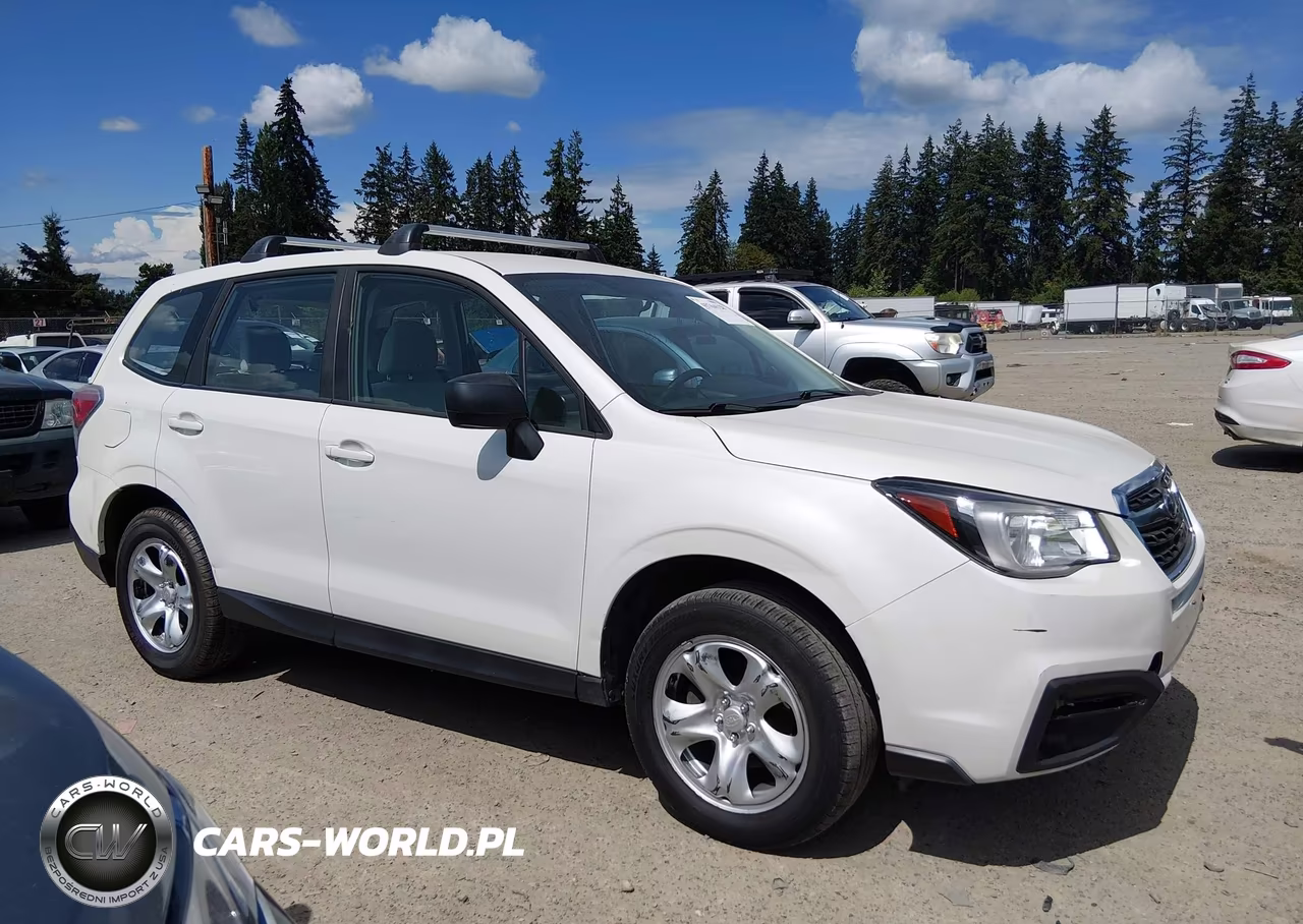 2018 Subaru Forester 2.5I VIN:JF2SJAAC1JG424706 - 13