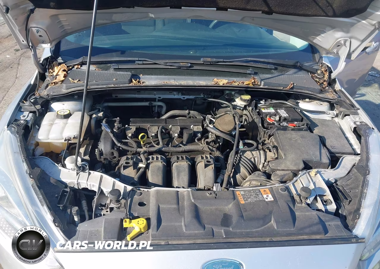 2015 Ford Focus Se VIN:1FADP3K24FL315801 - 10