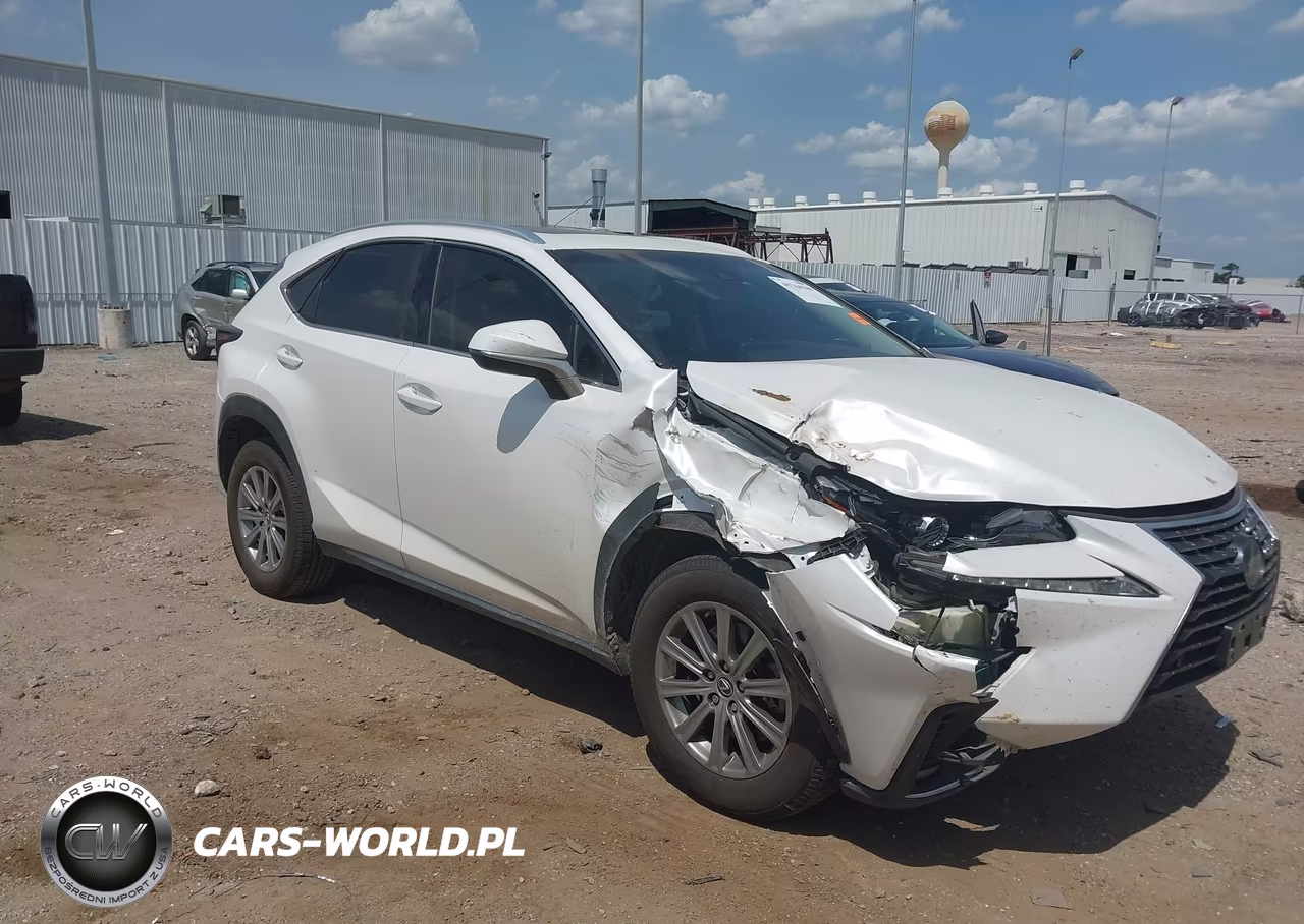 2019 Lexus Nx 300 VIN:JTJYARBZ3K2143416 - 1