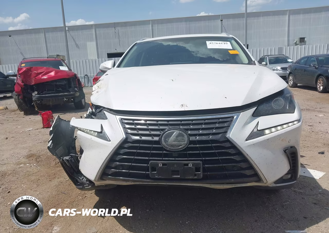 2019 Lexus Nx 300 VIN:JTJYARBZ3K2143416 - 12