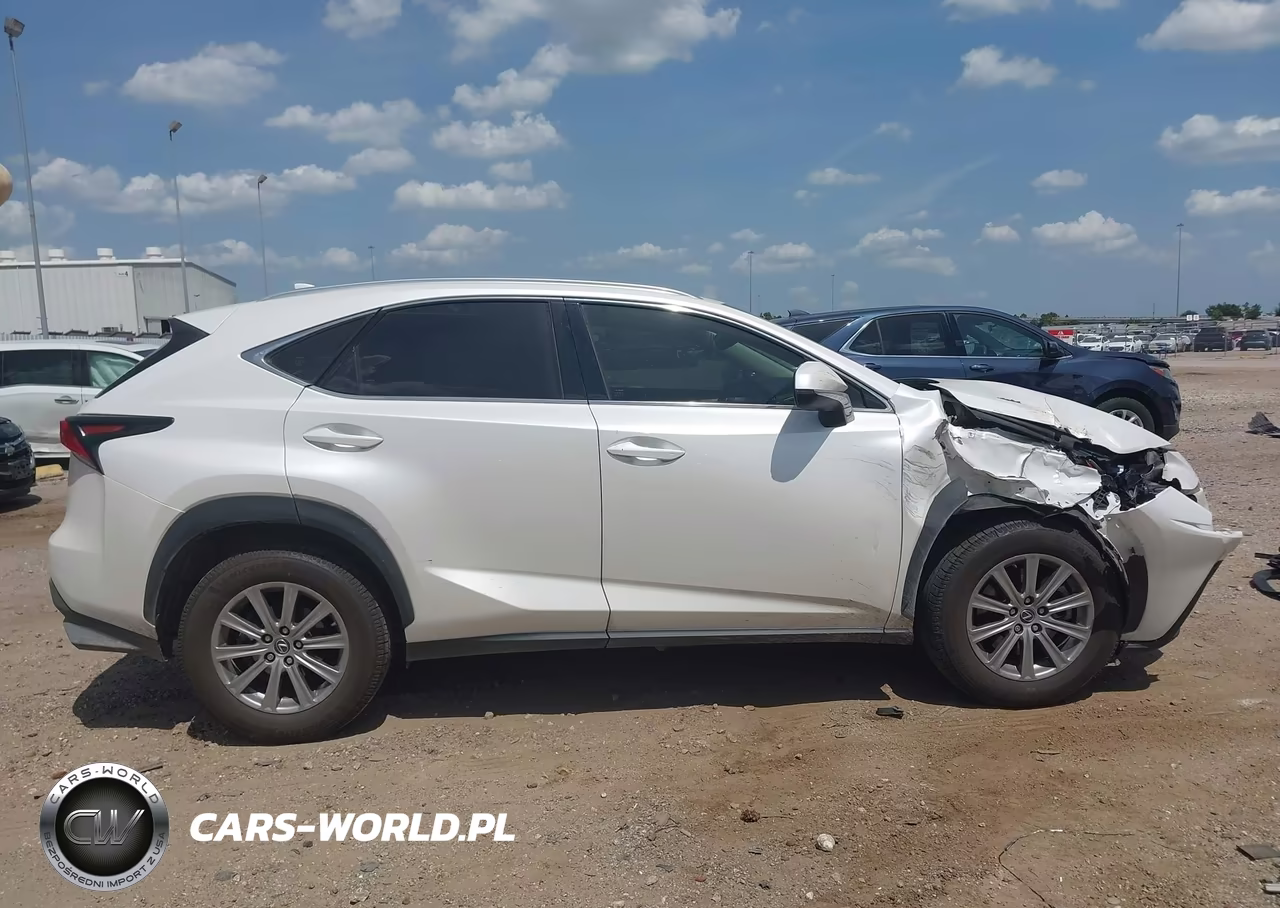 2019 Lexus Nx 300 VIN:JTJYARBZ3K2143416 - 13